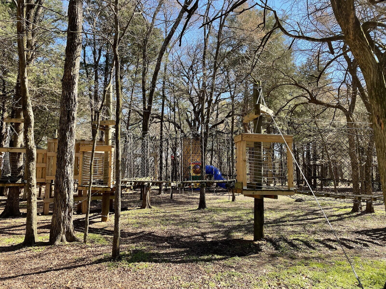 Trinity Forest Adventure Park