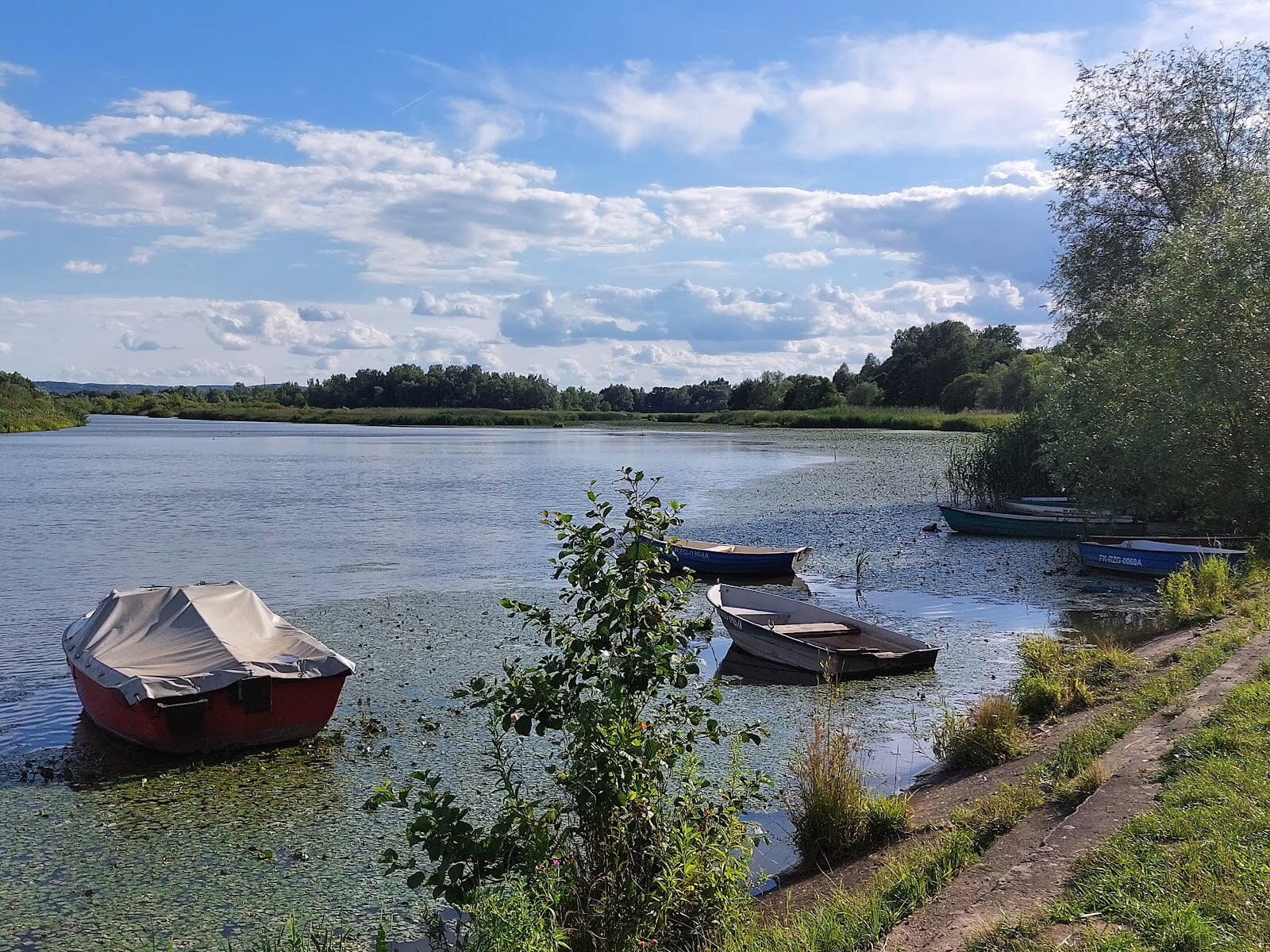 Nature Reserve: Lisia Góra