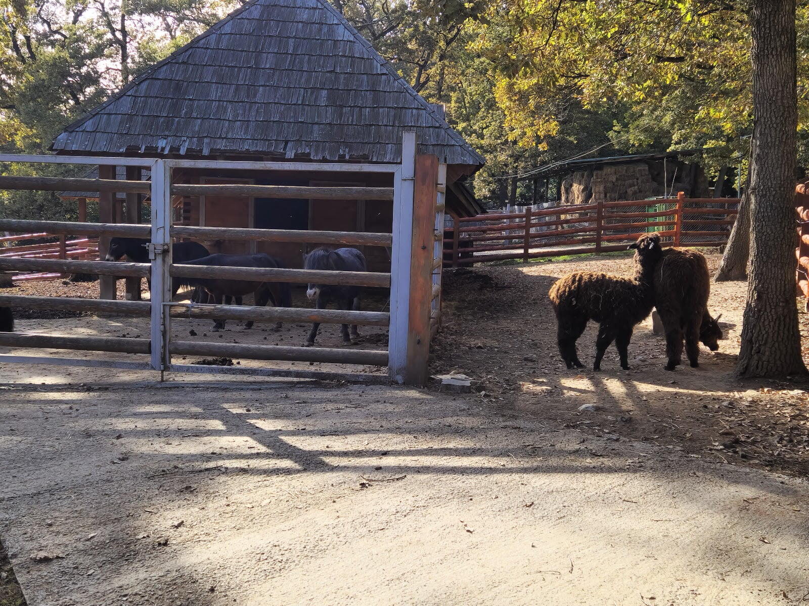 Sibiu Zoological Garden