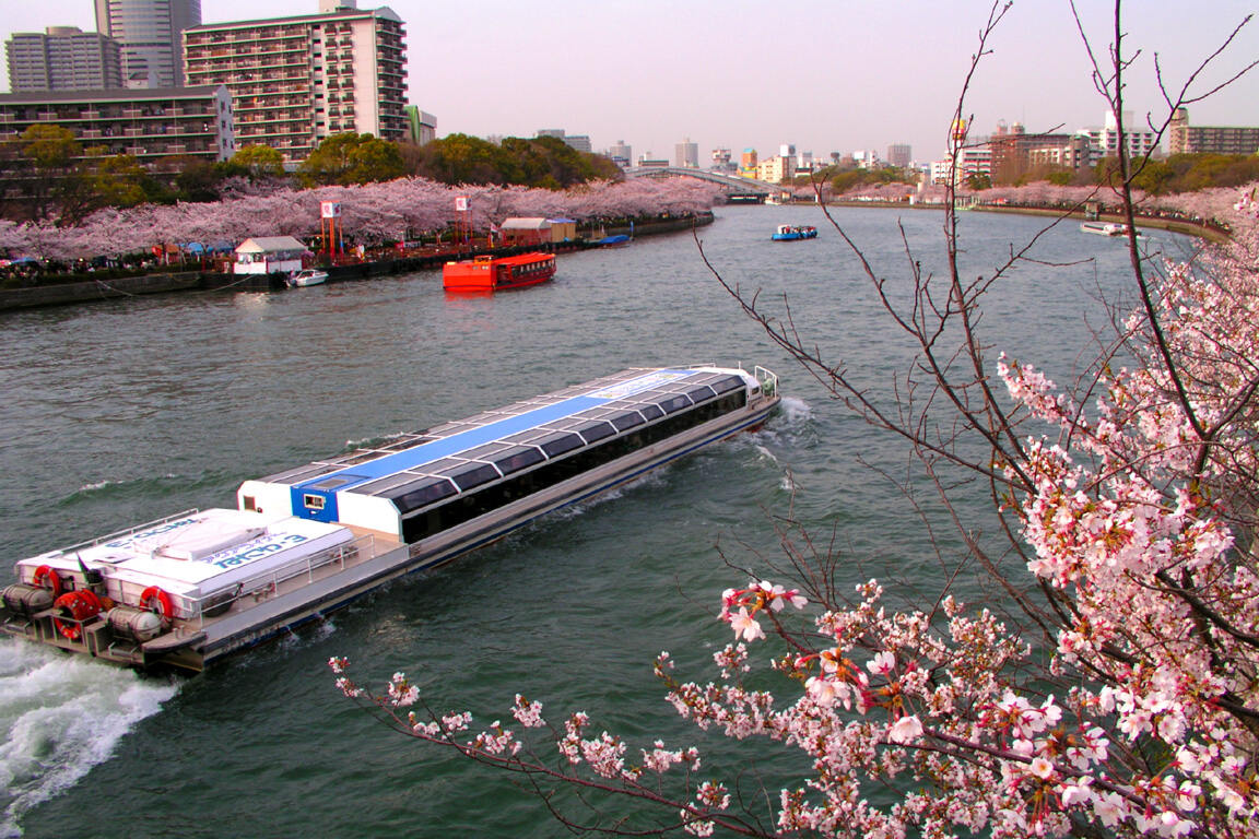 桜之宮公園　川崎橋より撮影