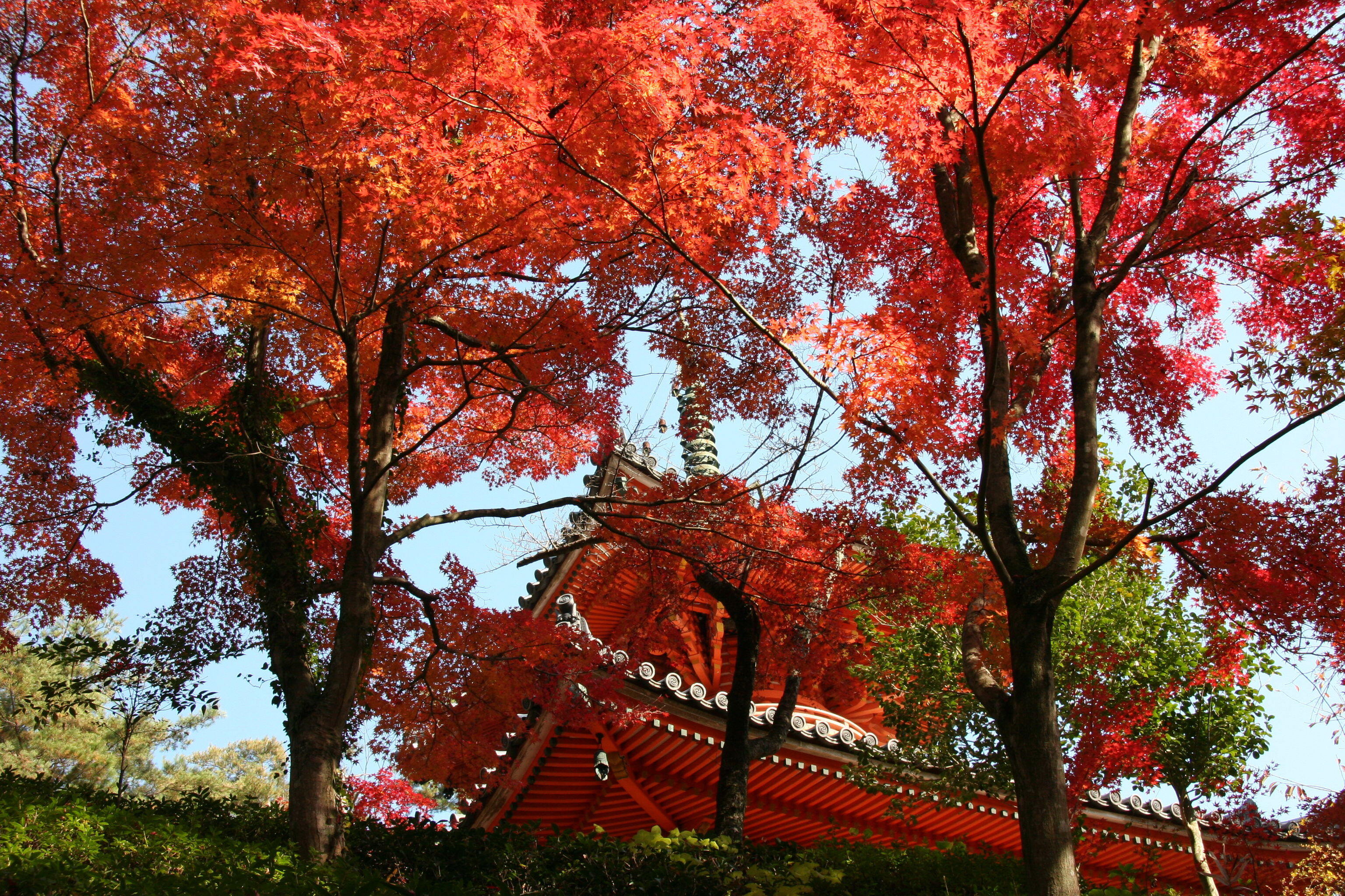 三瀧寺（多宝塔）