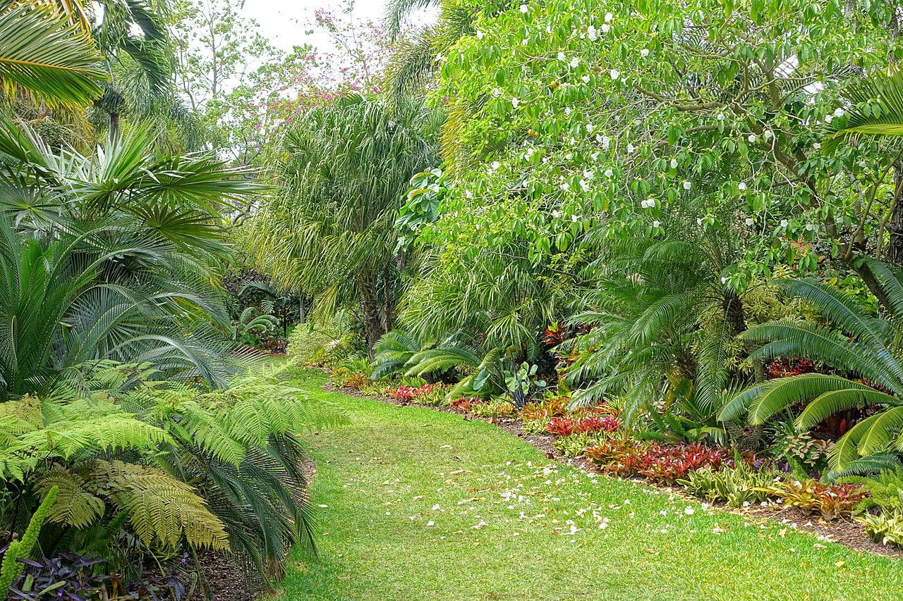 Botanická záhrada Mounts