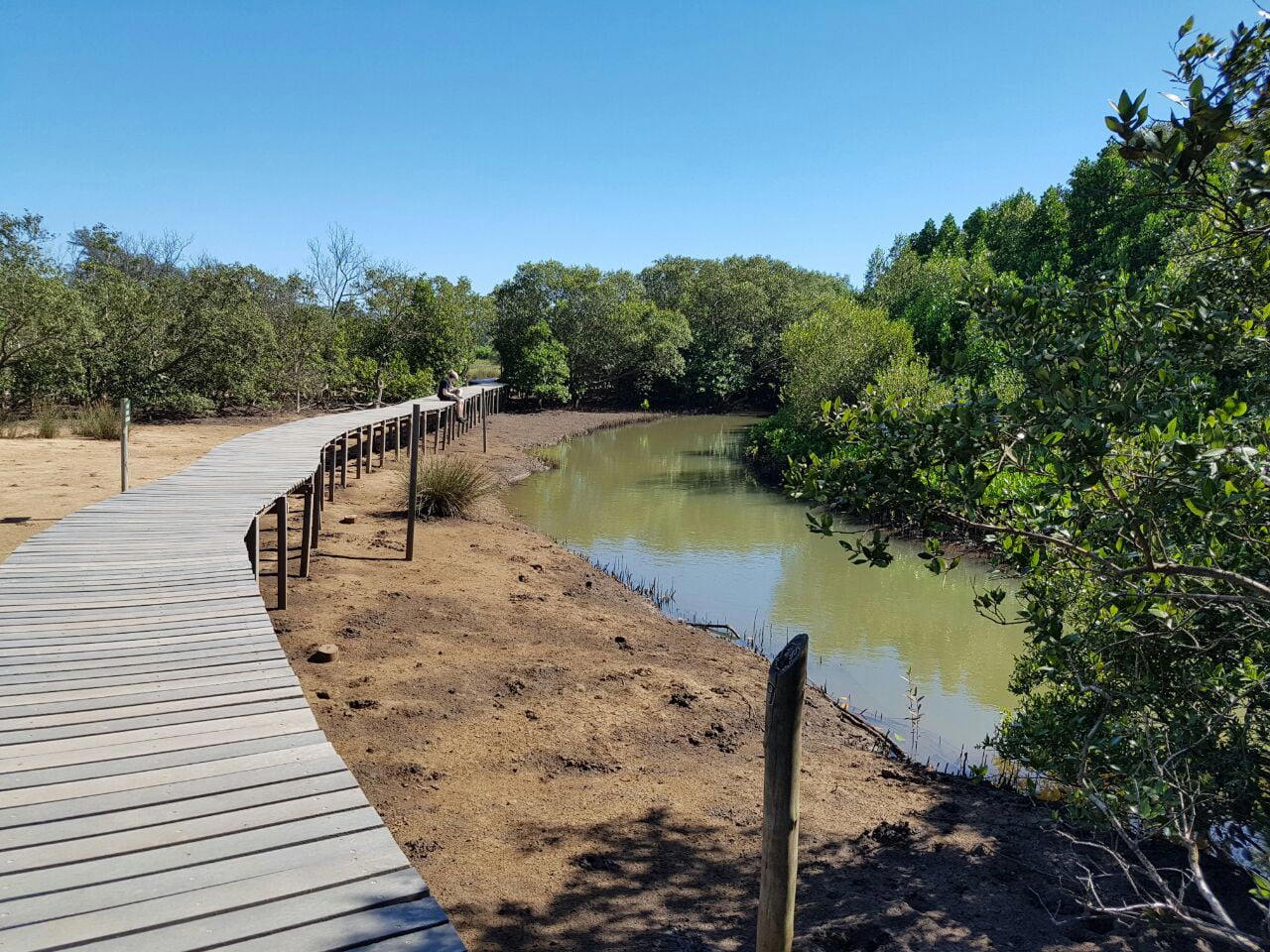 Prírodná rezervácia Beachwood Mangroves