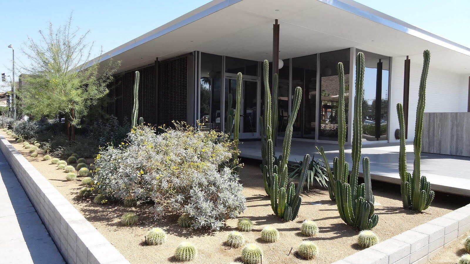 Palm Springs Art Museum Architecture and Design Center