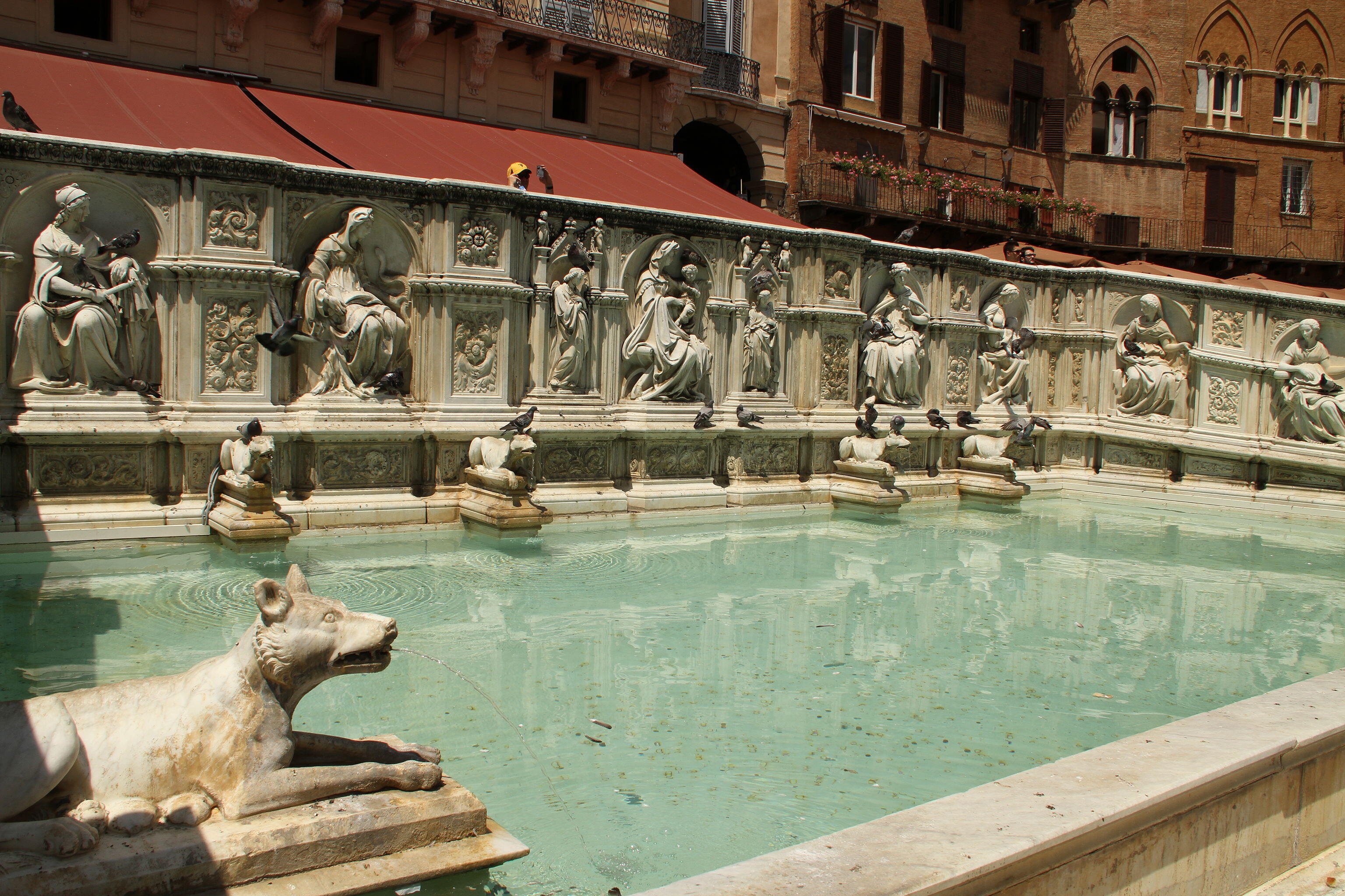 Siena, Fonte Gaia