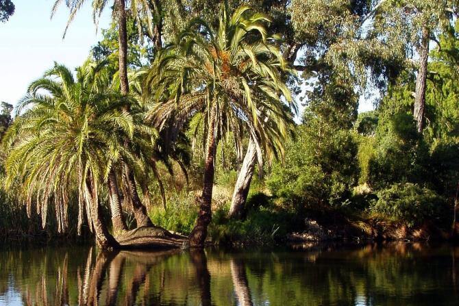 Kráľovské botanické záhrady