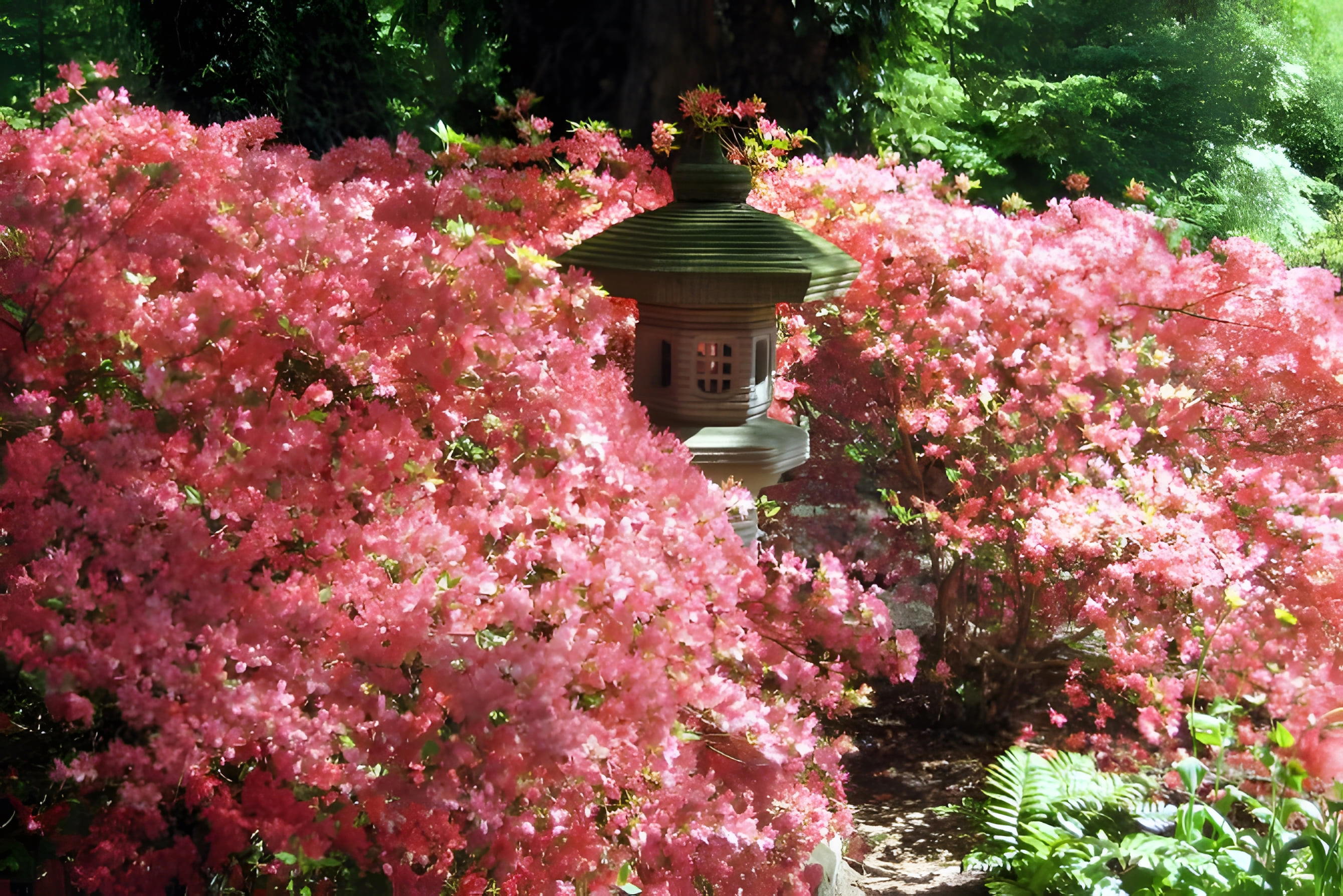 Rhododendron-Park Brémy