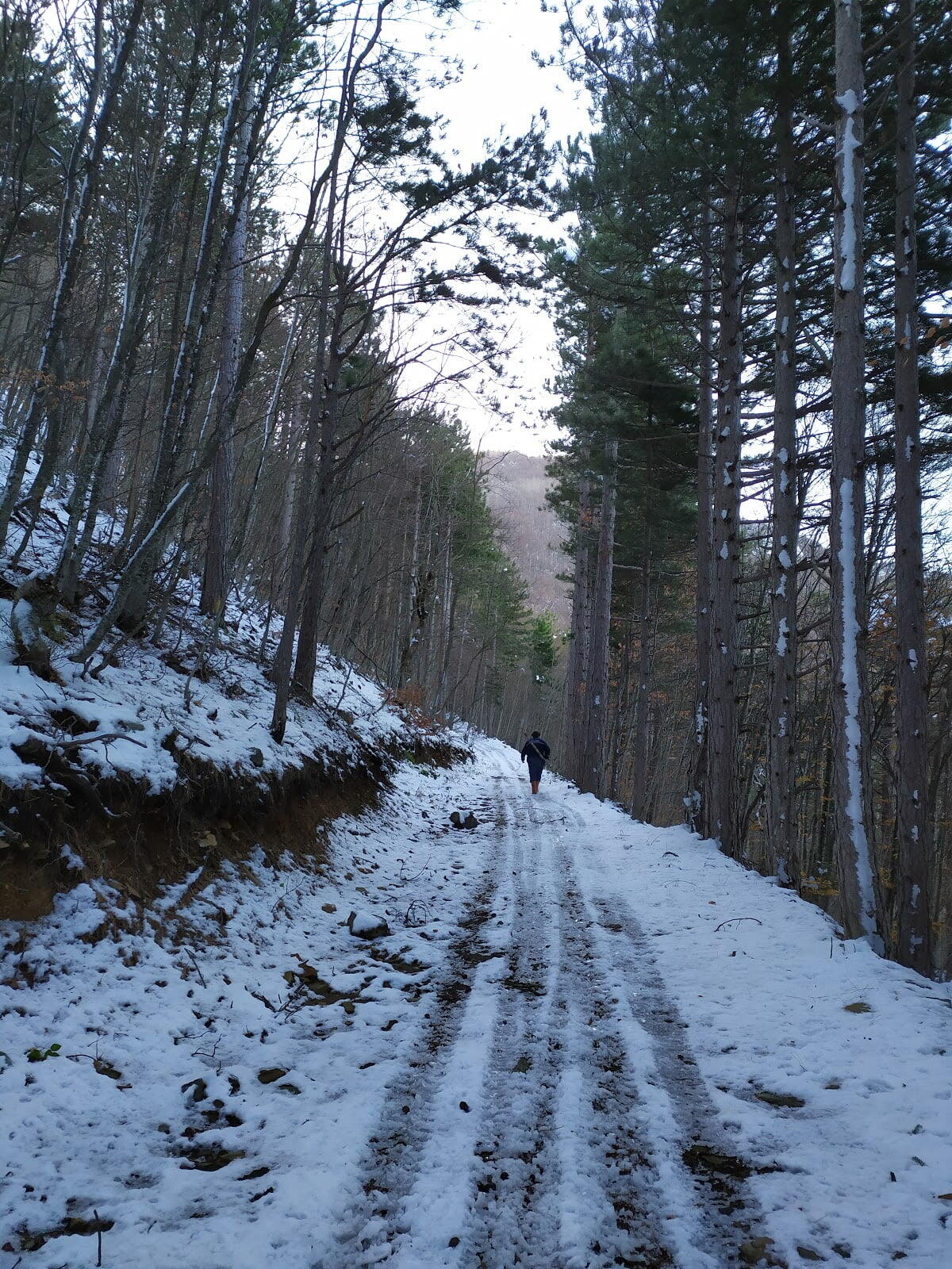 Uludag National Park