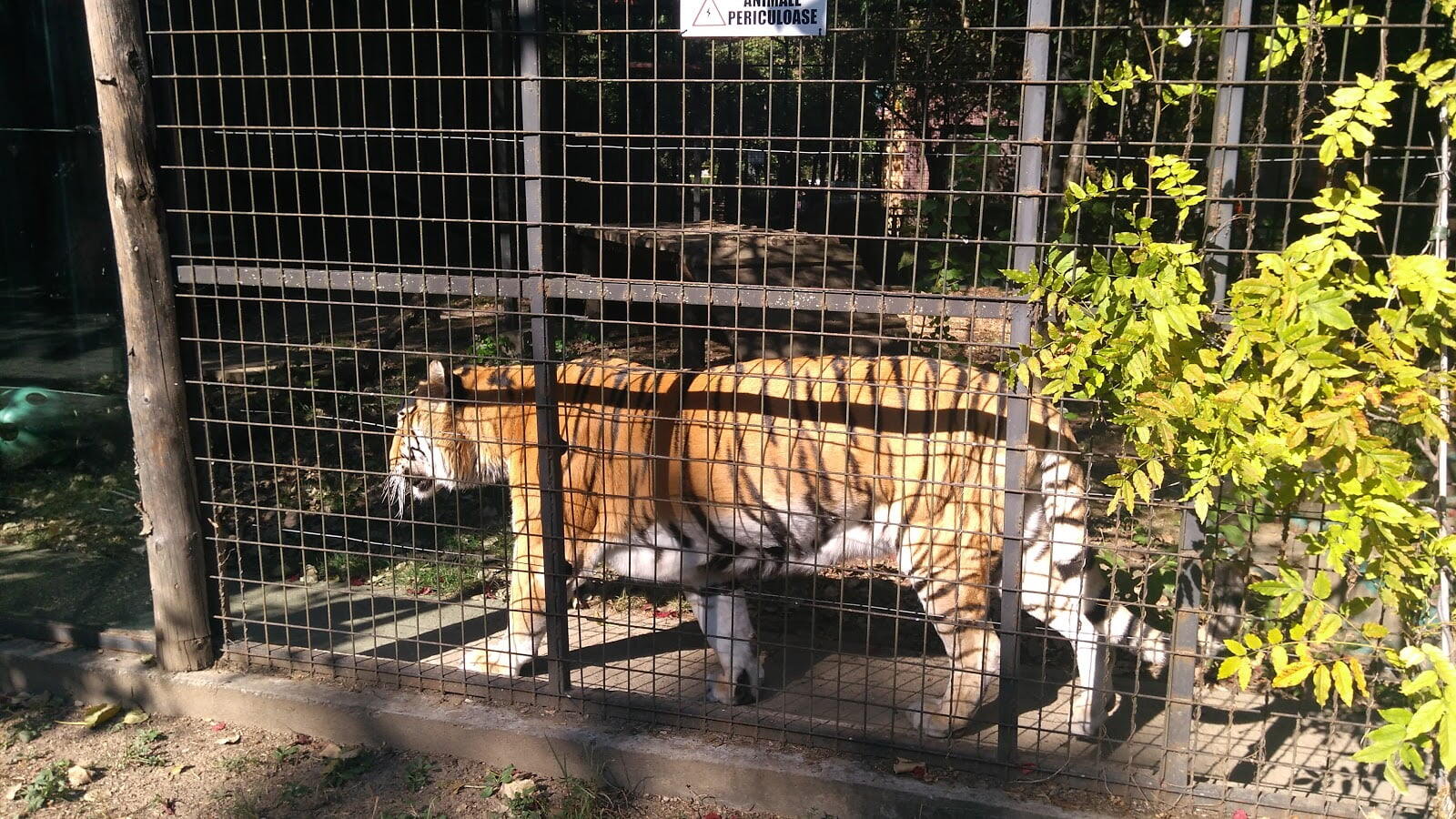 Zoo Park Craiova