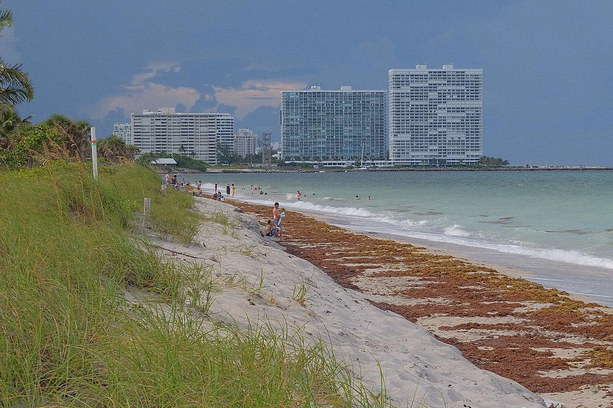 Fort Lauderdale Beach Park