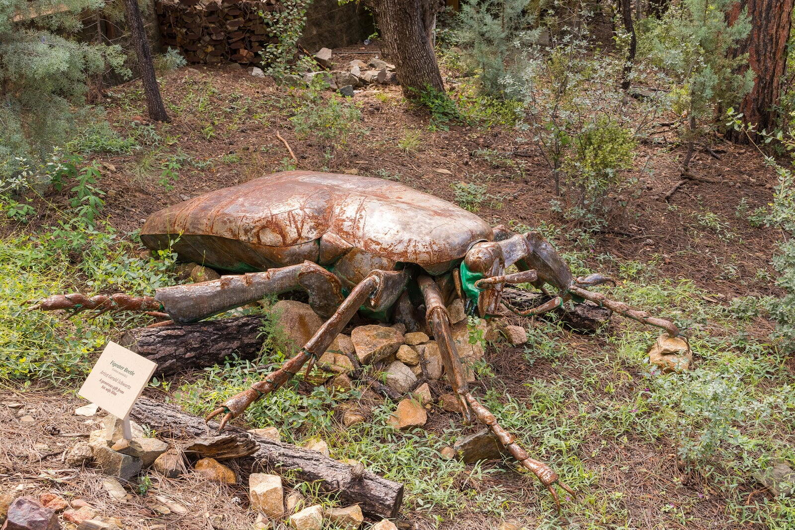 Highlands Center for Natural History