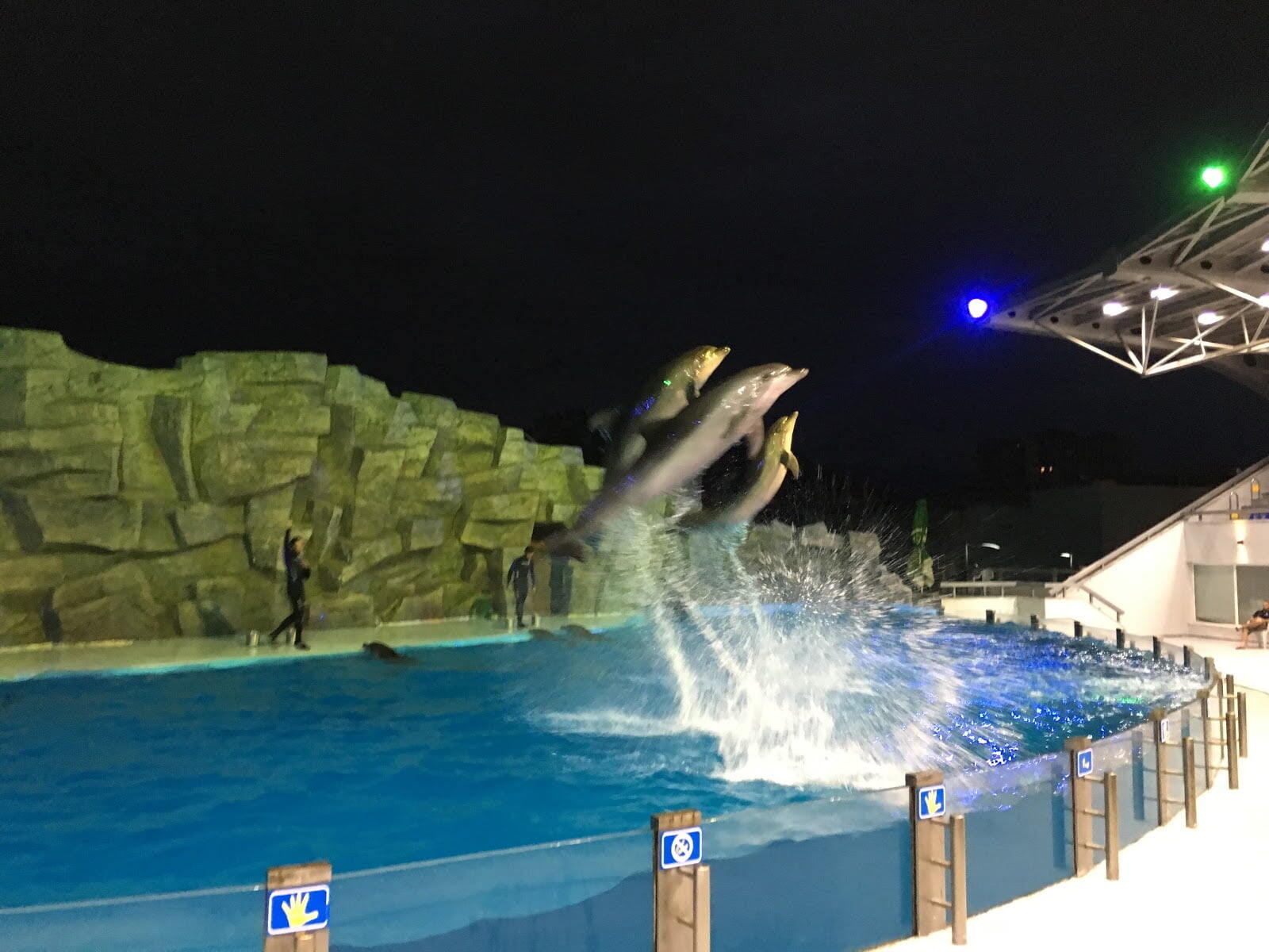 Batumi Dolphinarium