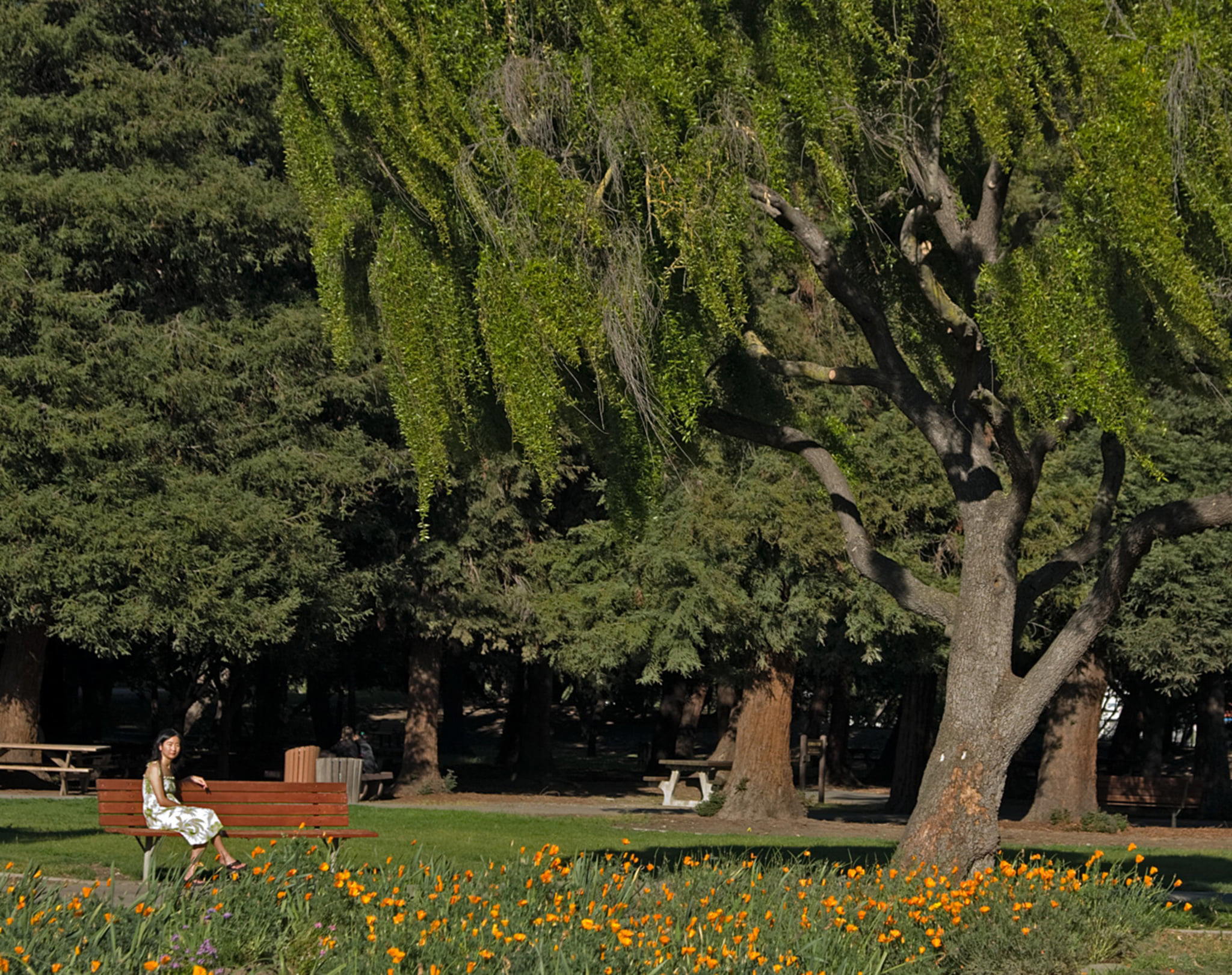 Park Overfelt Gardens