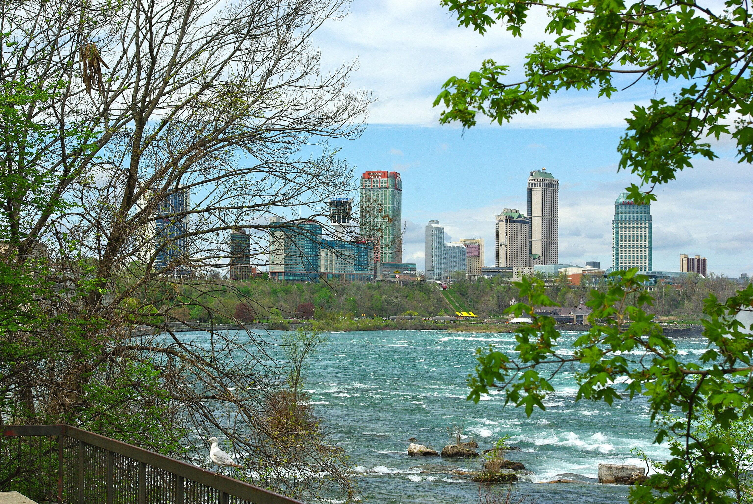 Niagara Falls - Niagara Falls, Ontario, skyline, May 2010.