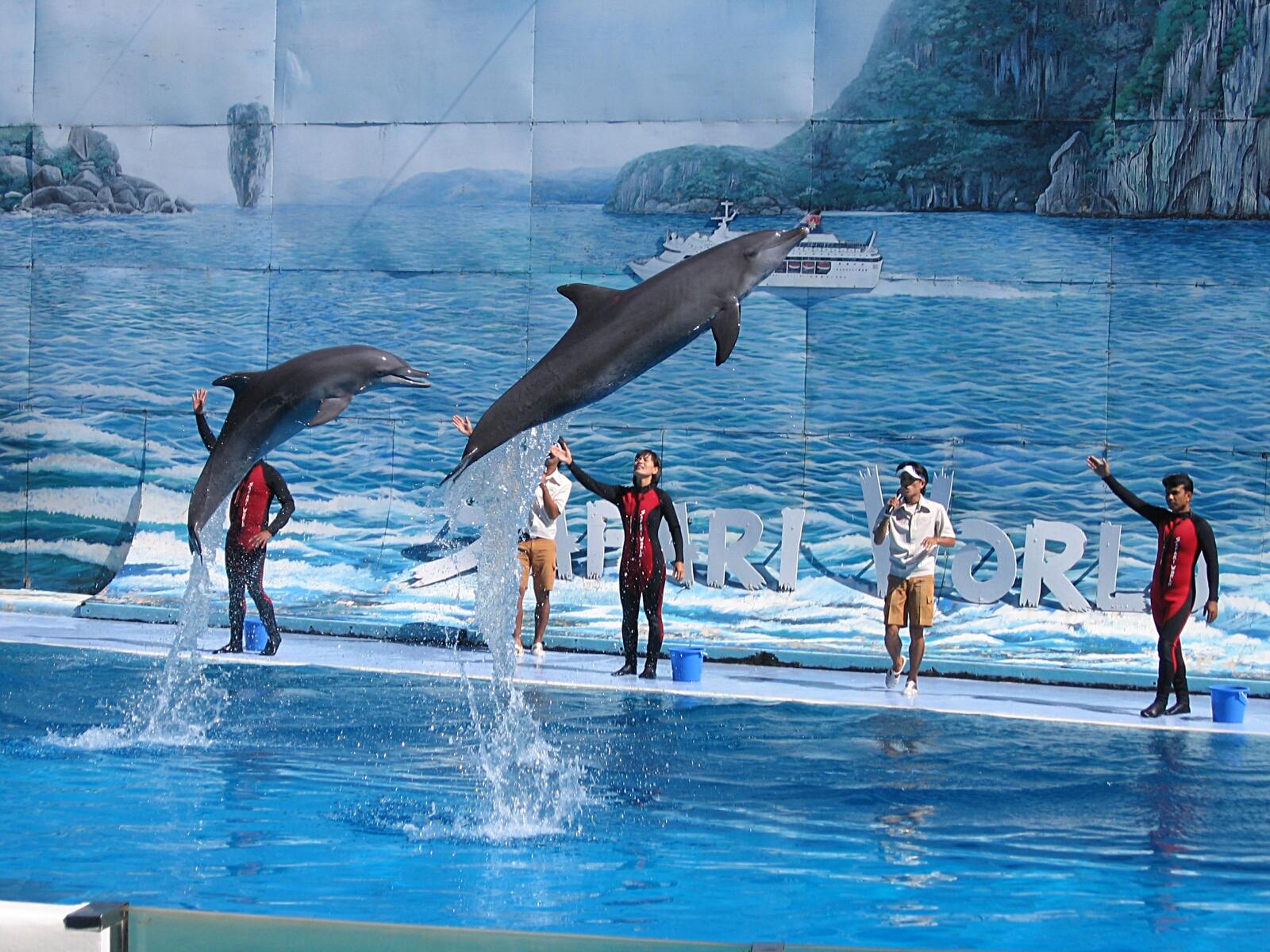 Dolphin show at Safari World, Khlong Sam Wa, Bangkok, Thailand.