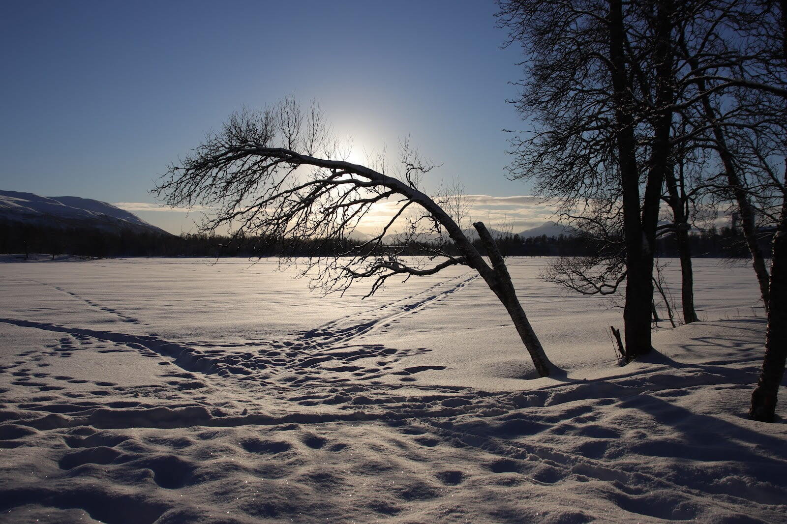 Prestvannet