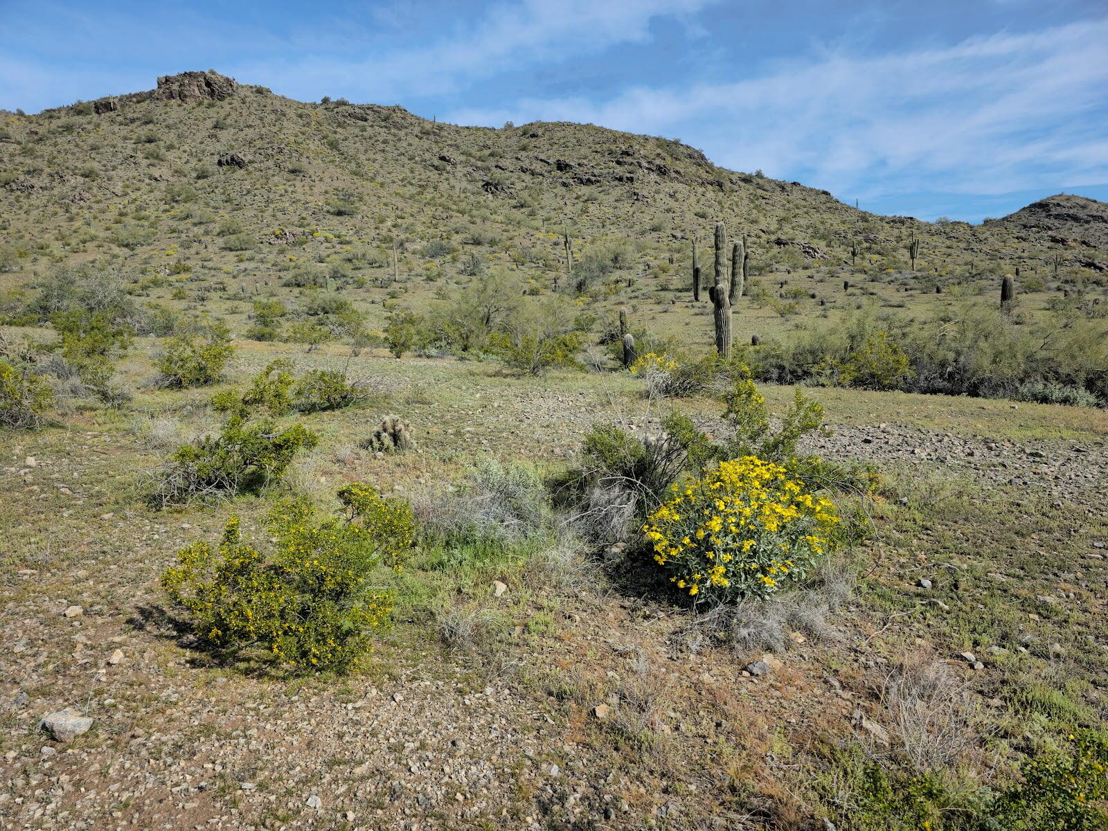 South Mountain Park and Preserve