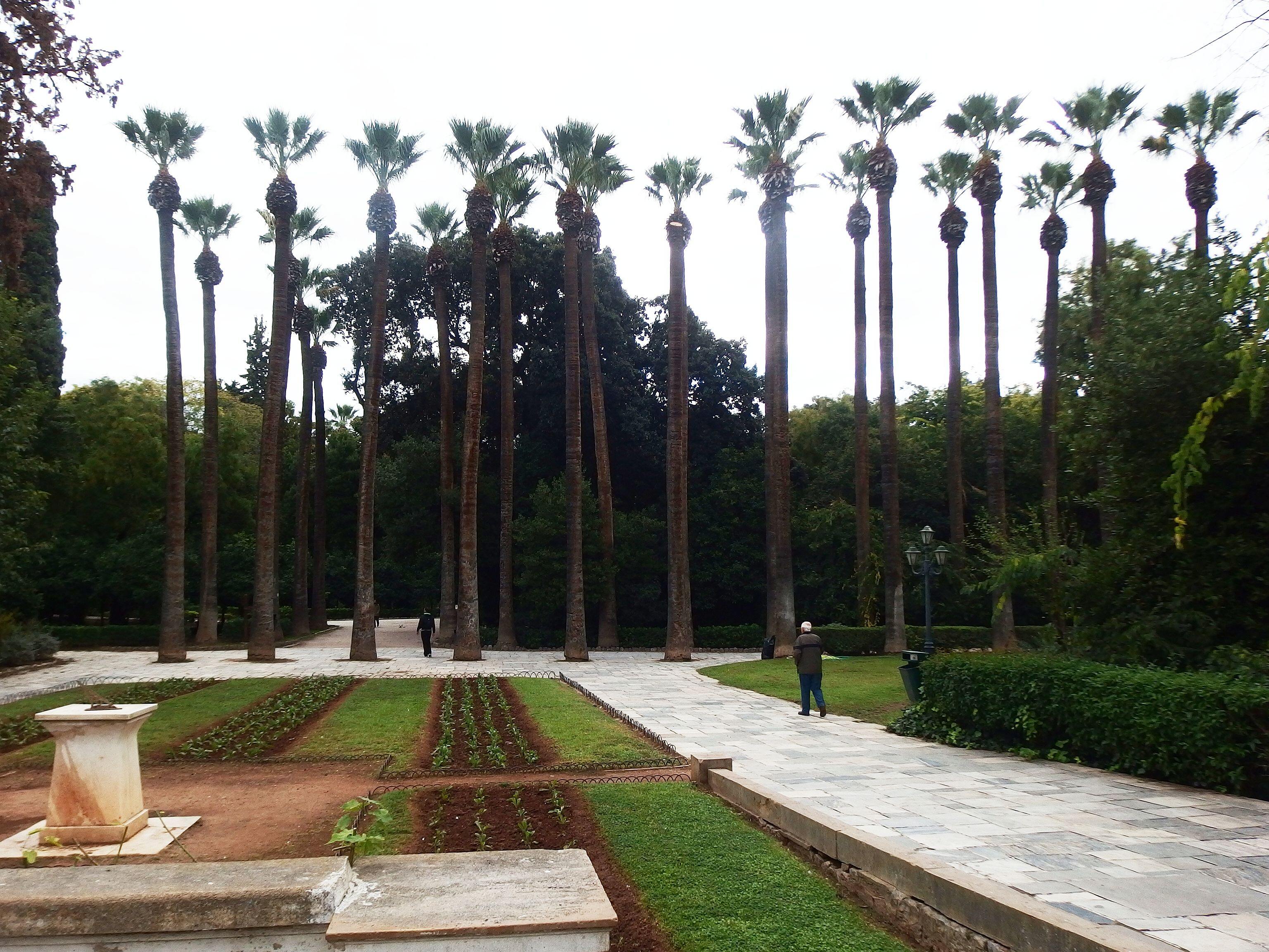 Athens, National Garden of Athens.