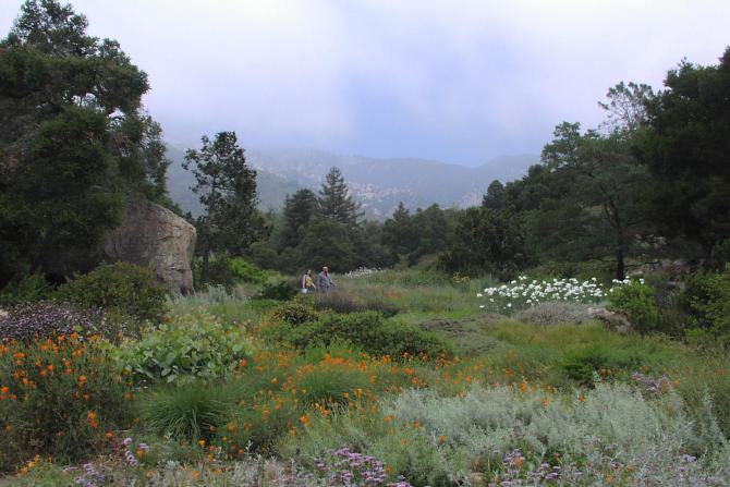 Botanická záhrada Santa Barbara