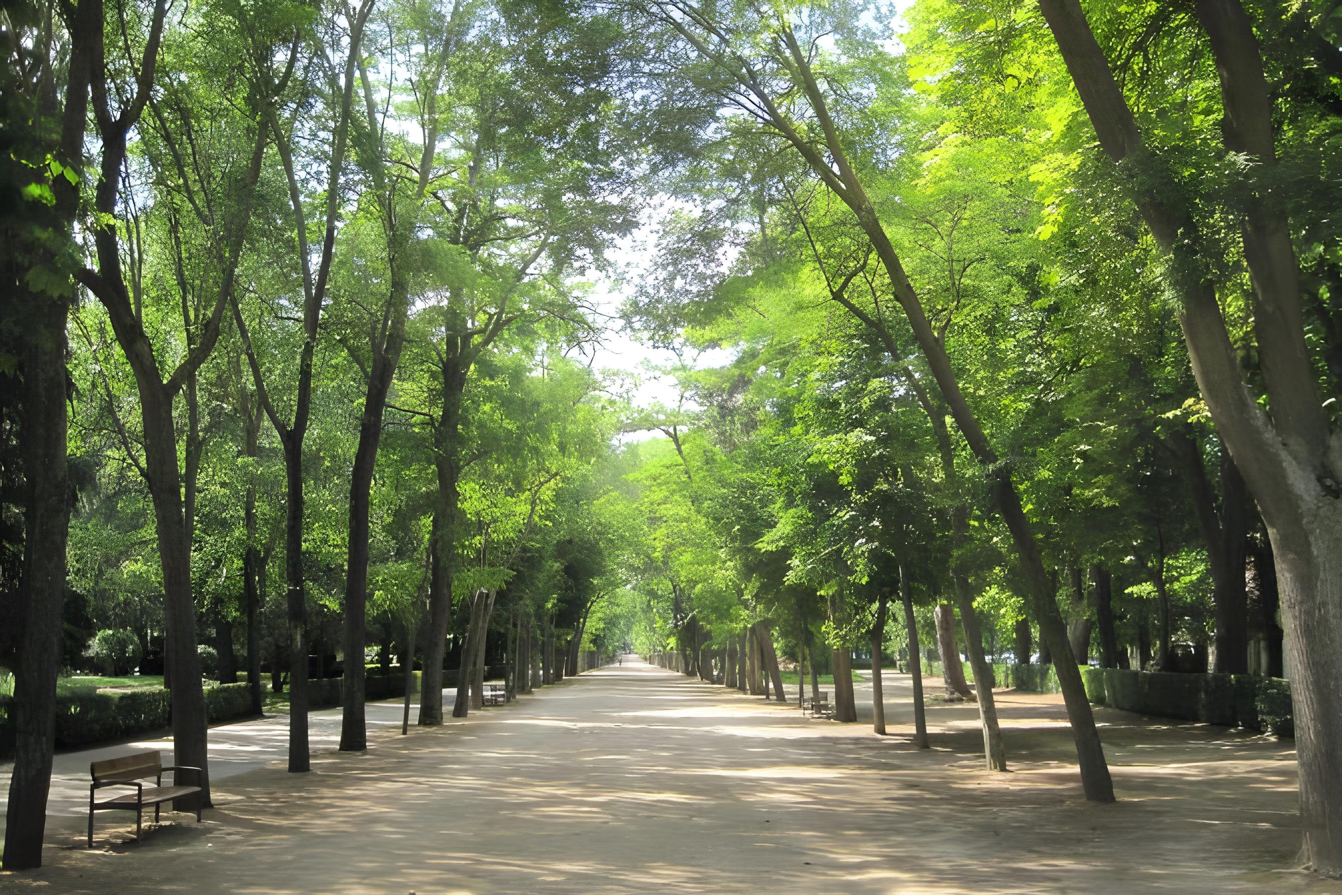 Park de La Isla