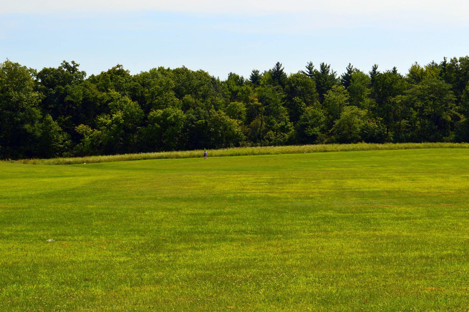 Buckner Park