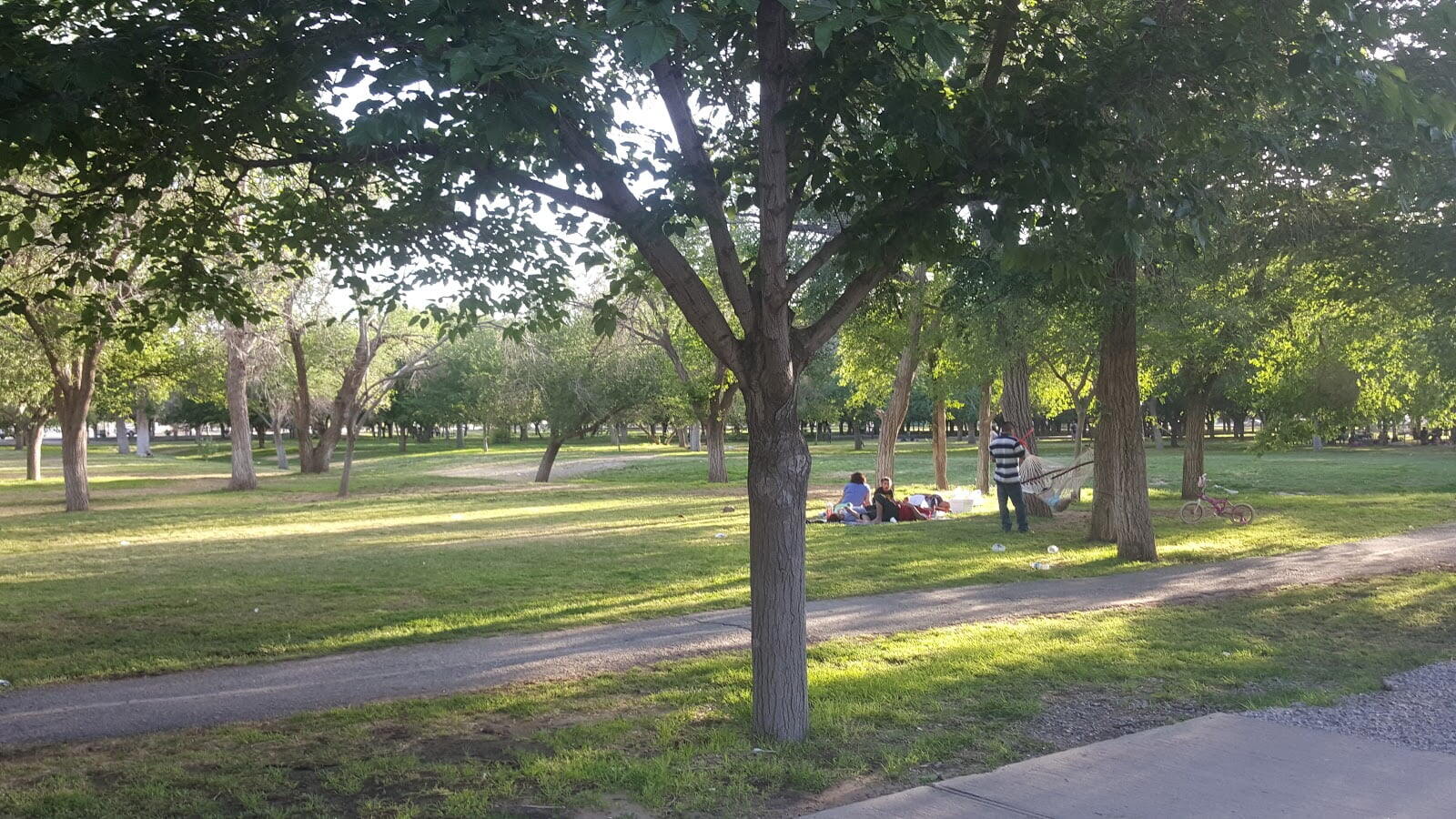 Parque Público Federal El Chamizal