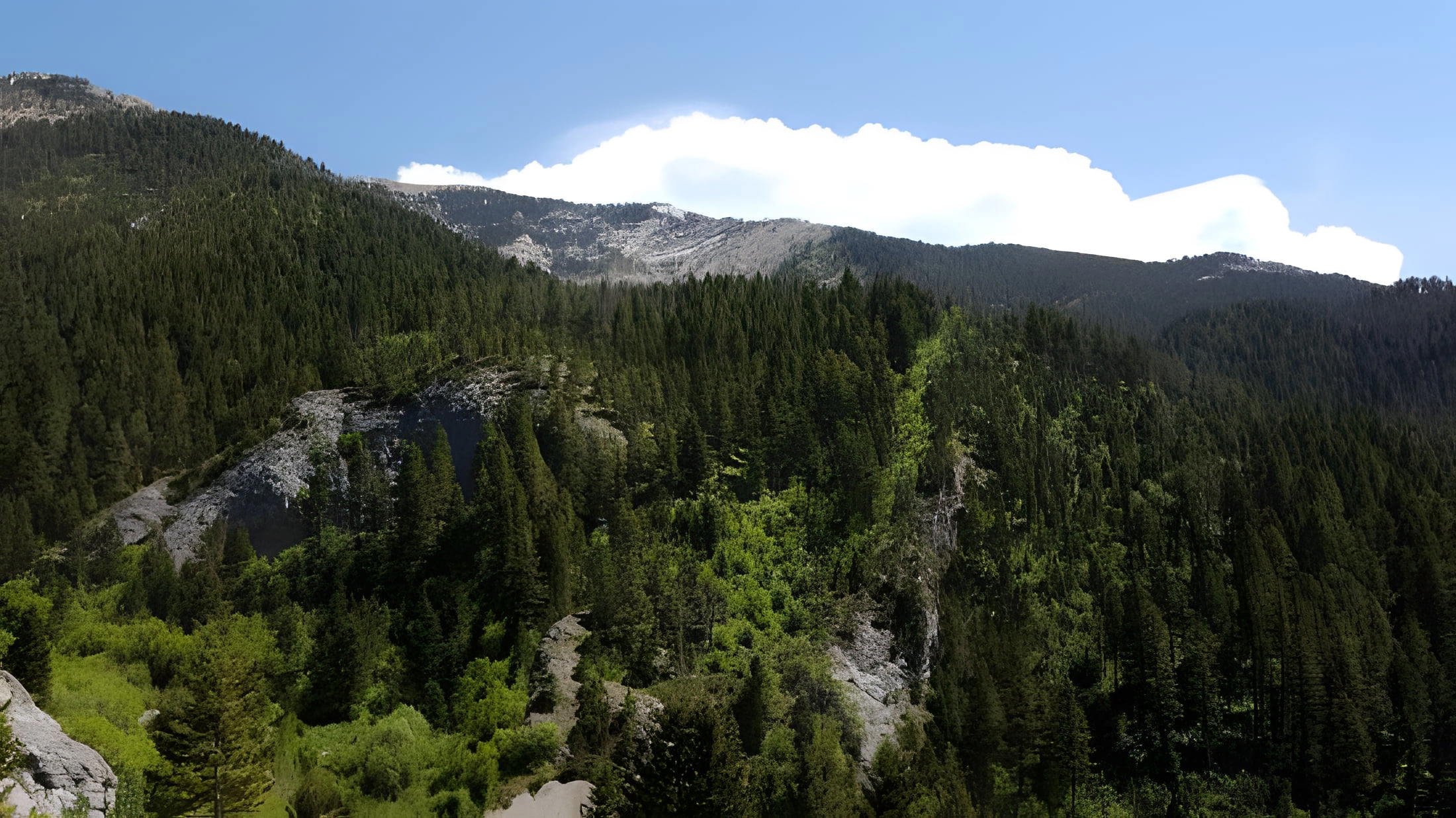 Middle Cottonwood Trailhead