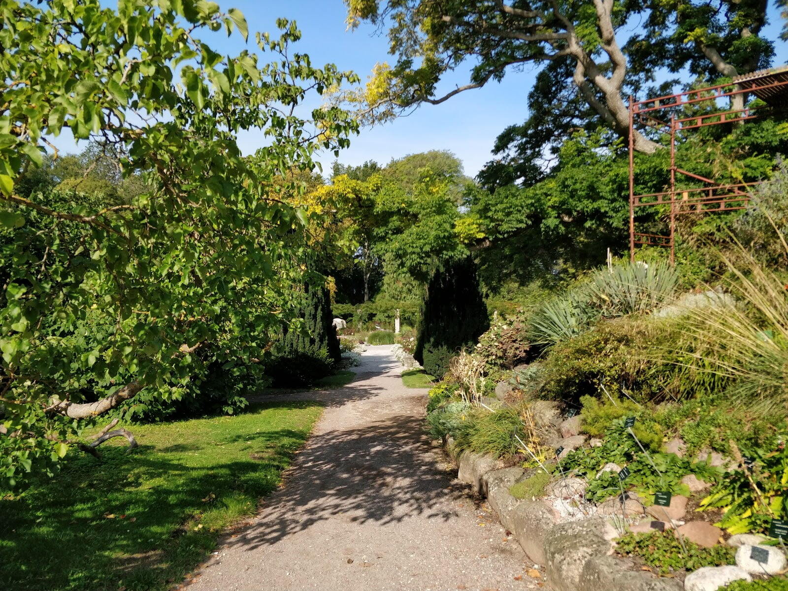 Botaniska Trädgården