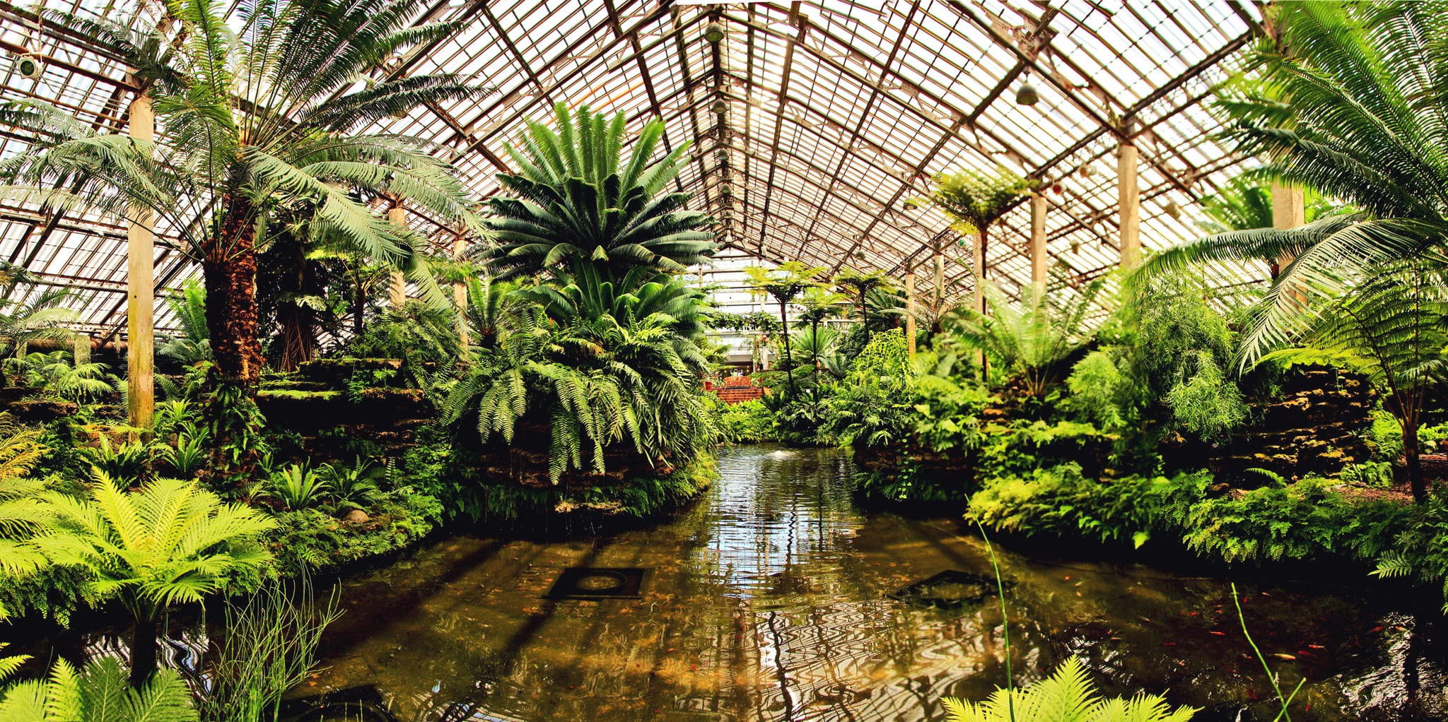 Garfield Park Conservatory