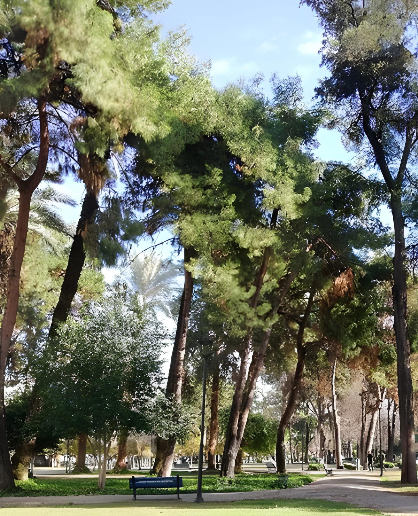 Park Atatürk