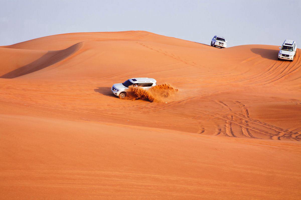 Dubai Desert Conservation