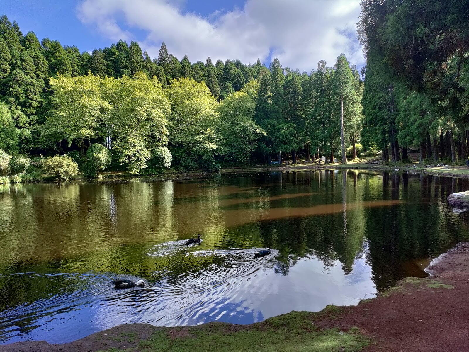 Lagoa das Patas