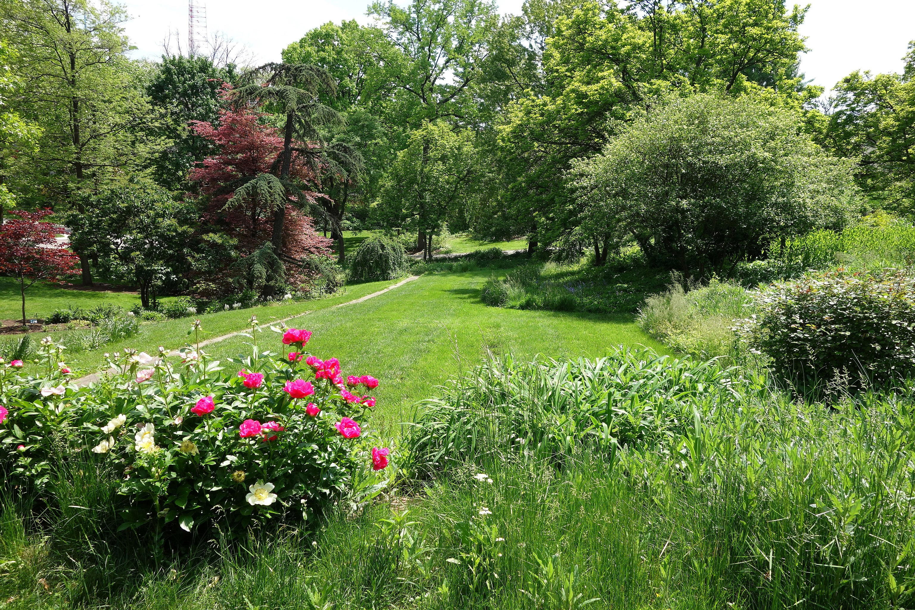 Hauck Botanická záhrada