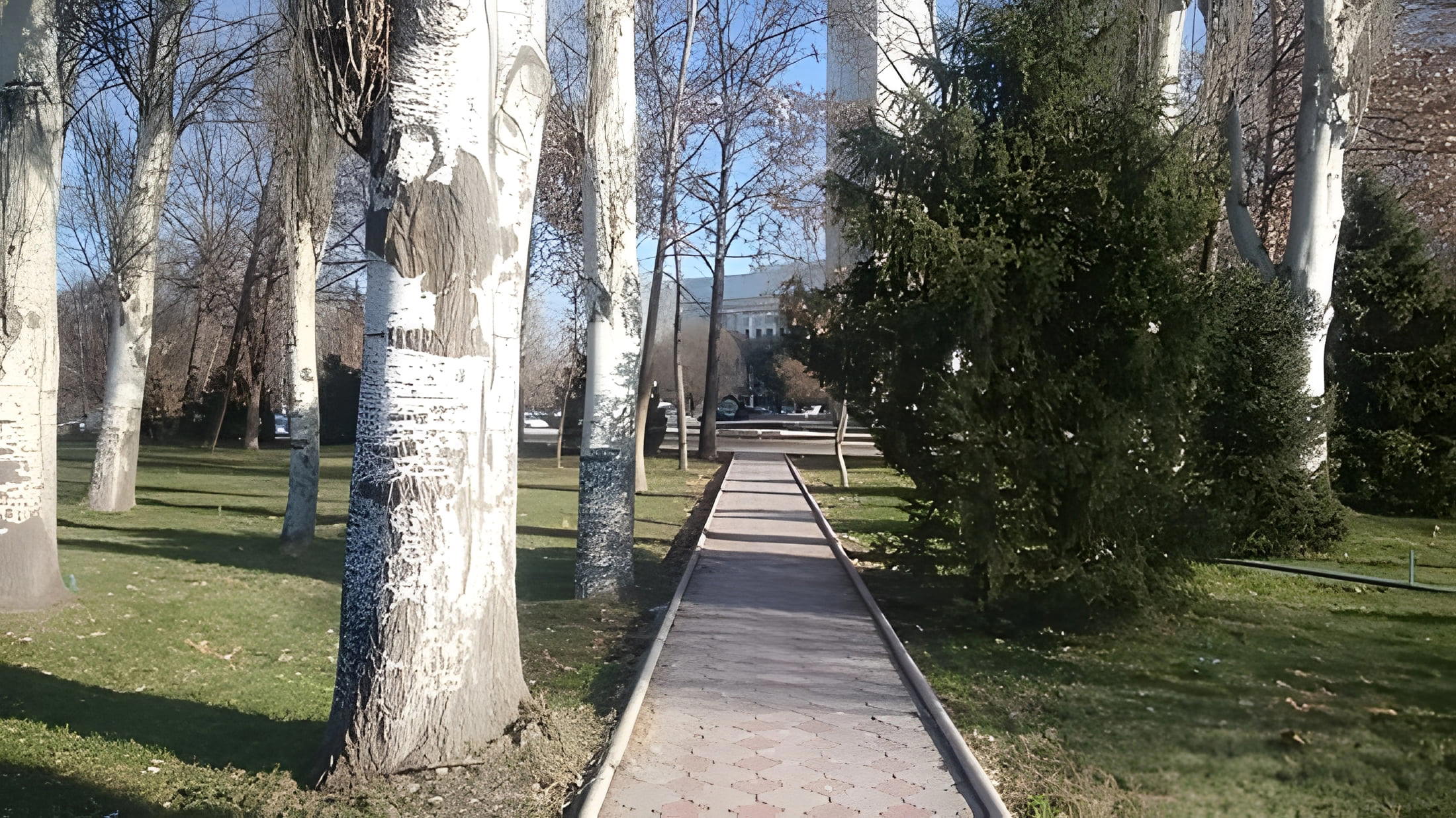 Park Im. I. Panfilova