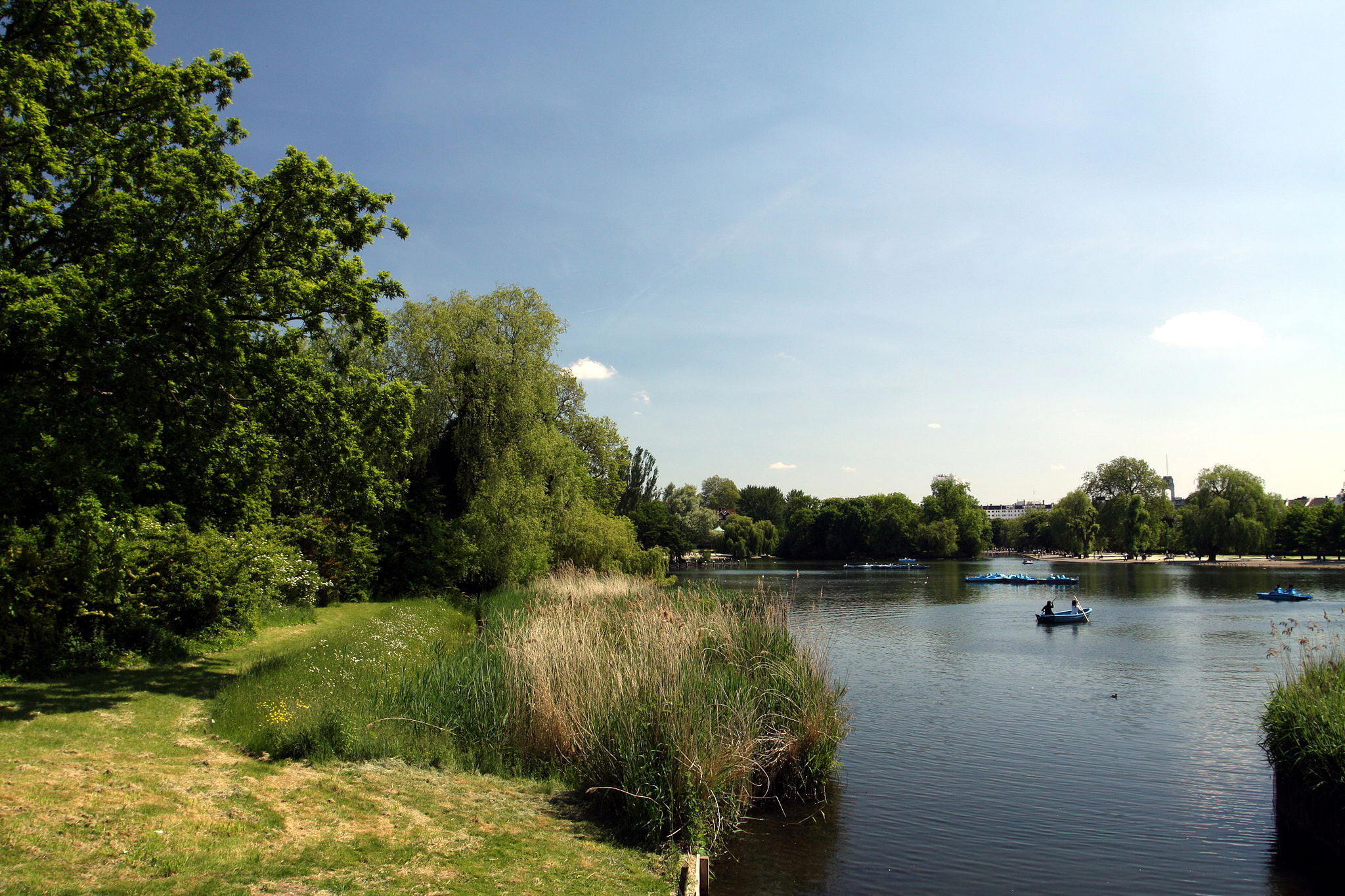 The Regent's Park v Londýně