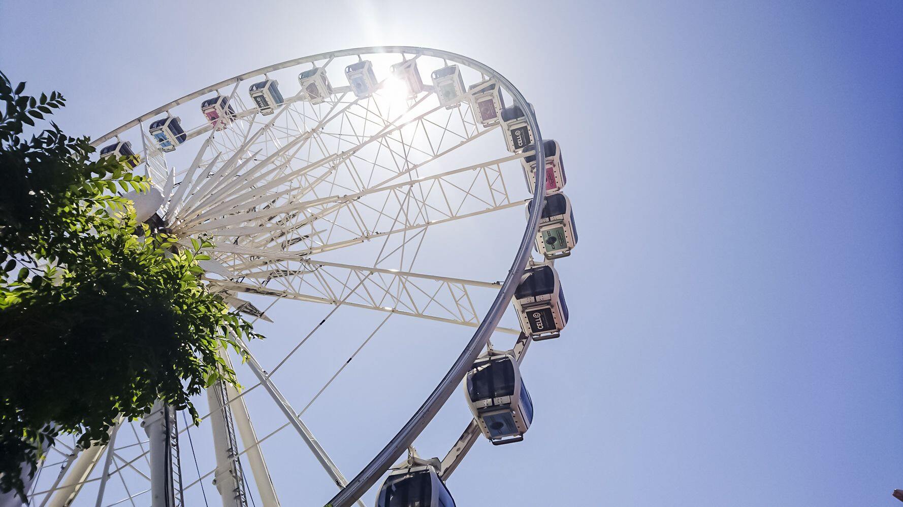 The Cape Wheel