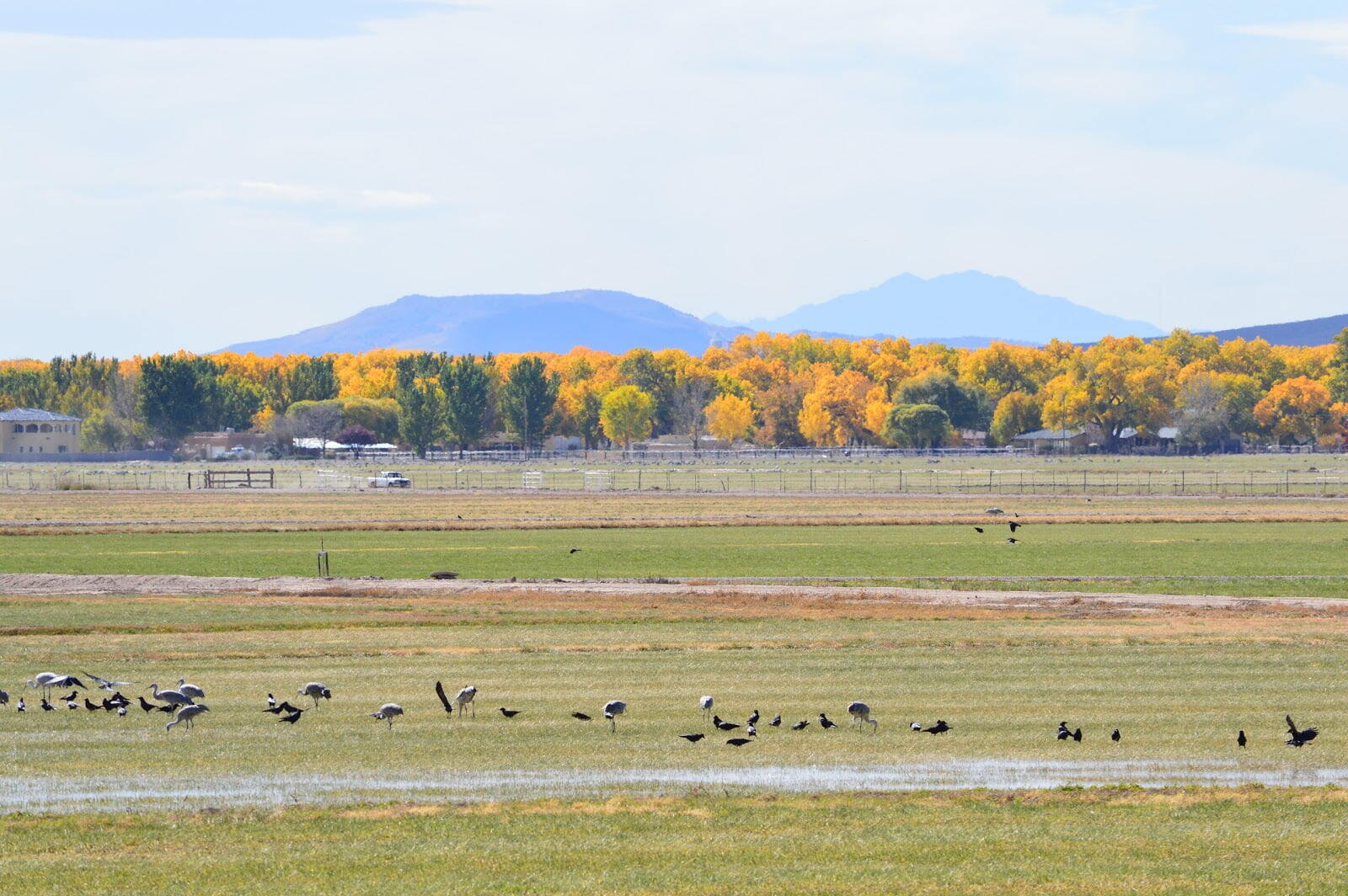 Valle de Oro National Wildlife Refuge