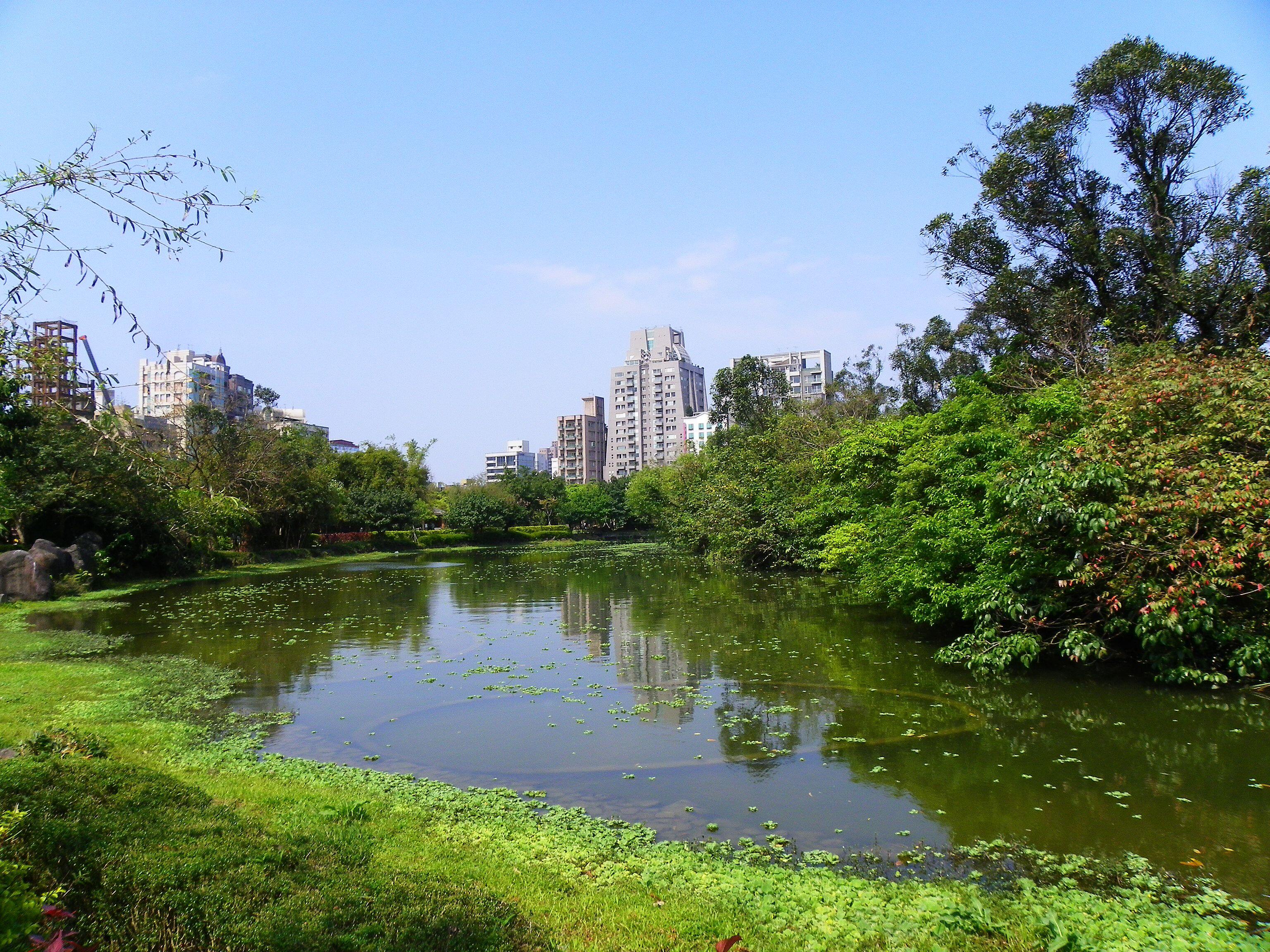 臺北市大安森林公園生態水池西部。