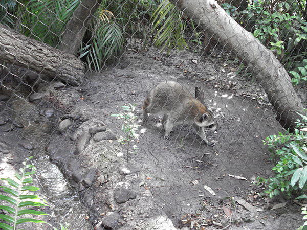 Zoo Palm Beach