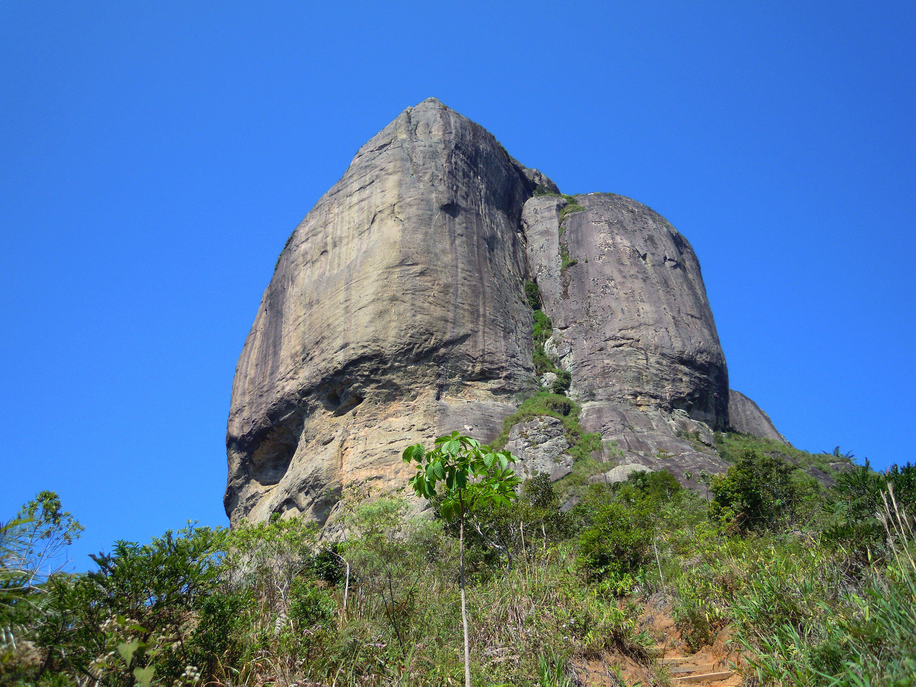 Vista da Trilha da Pedra da Gávea