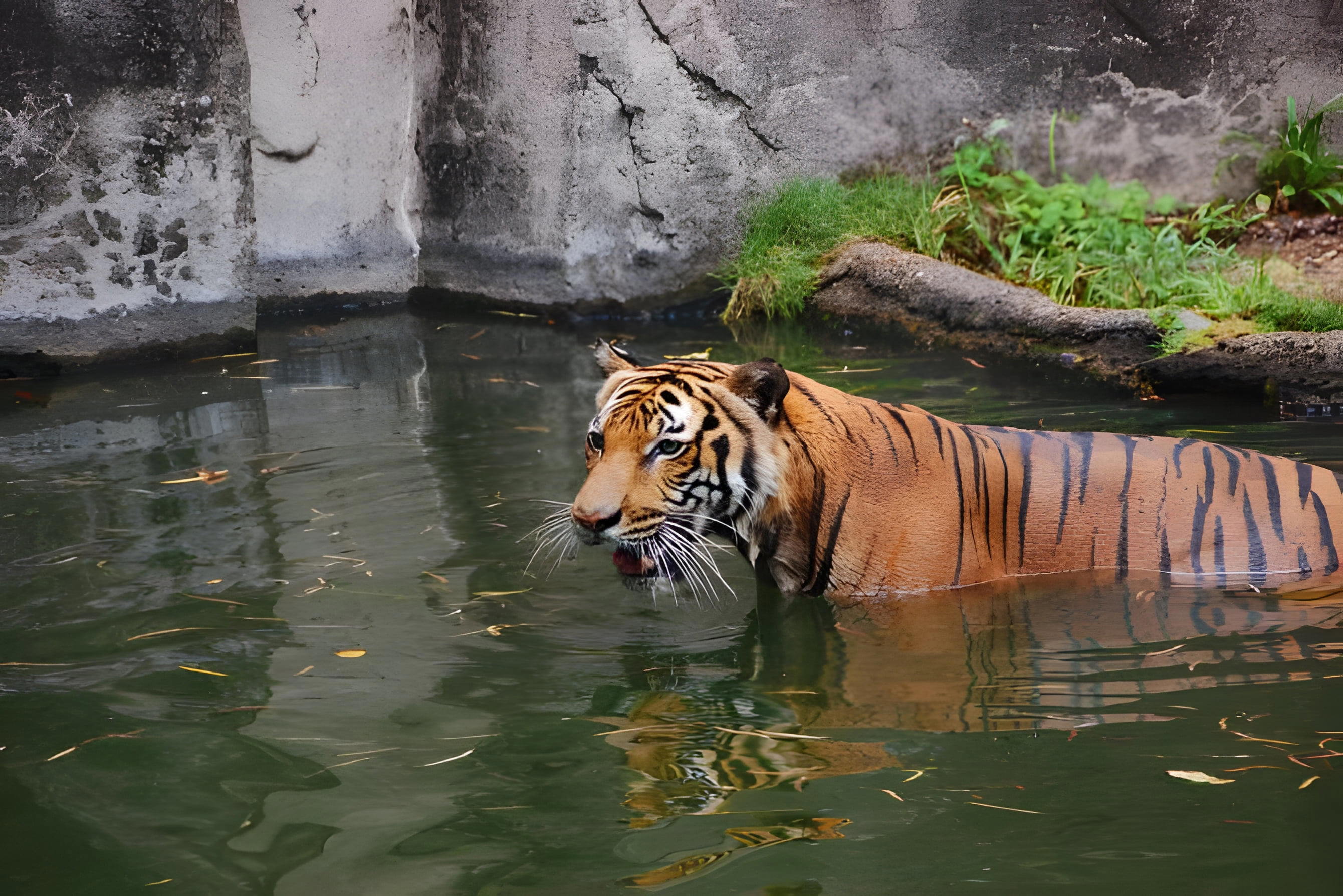 Houston Zoo