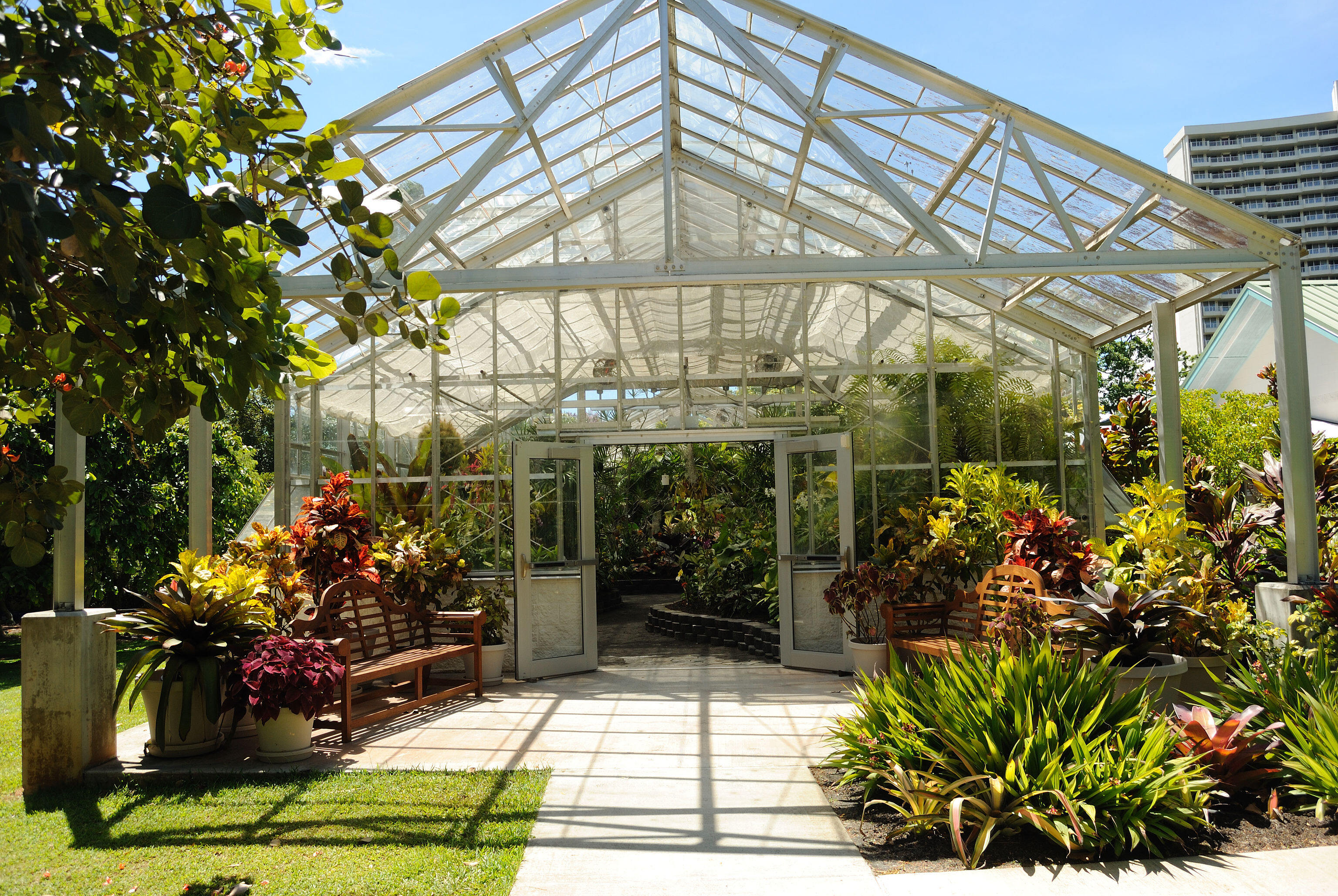 Conservatory @ Foster Botanical Garden