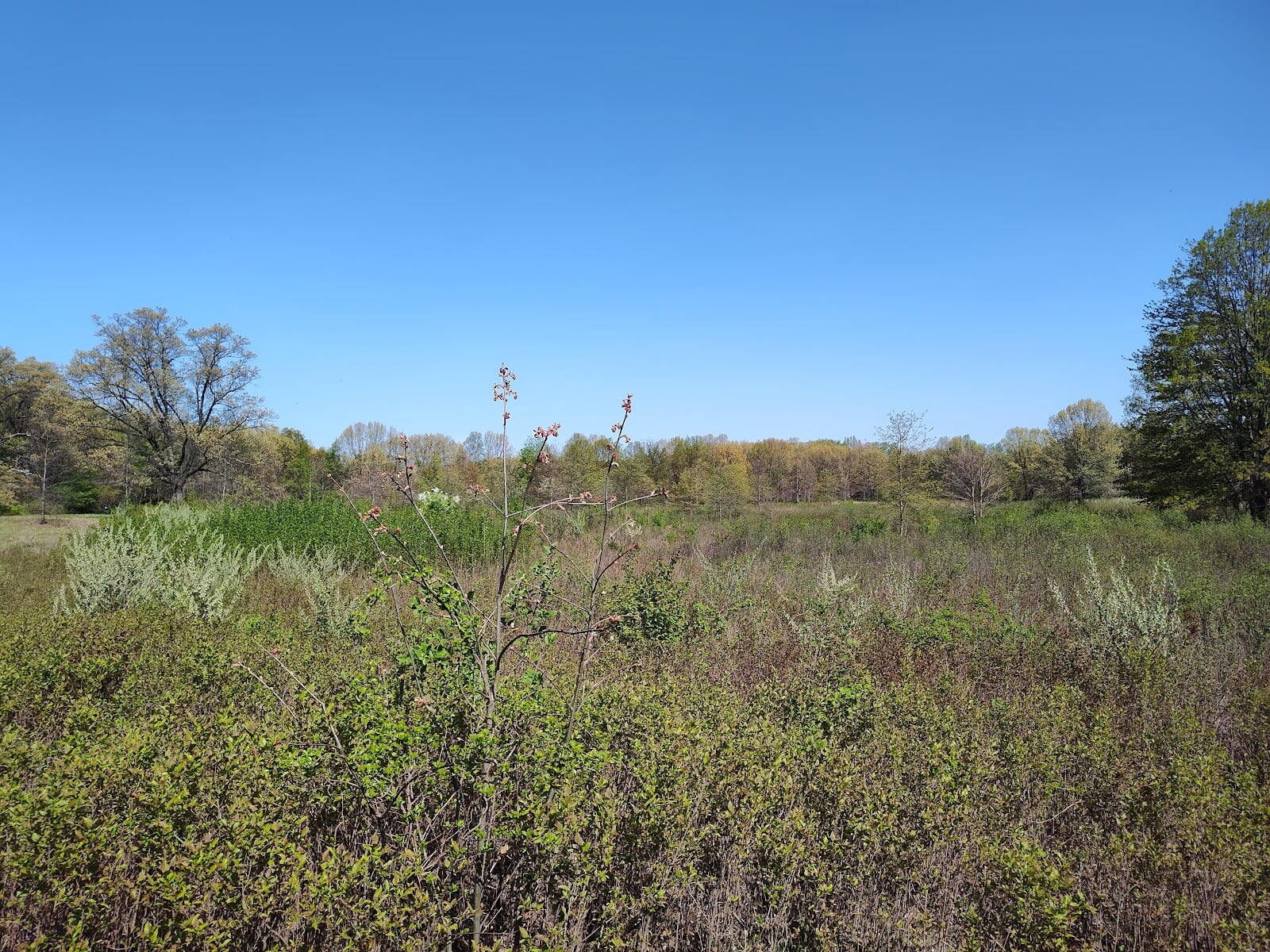 Wildwood Preserve Metropark