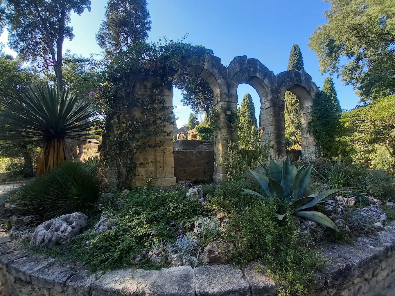 Jardin des plantes de Montpellier