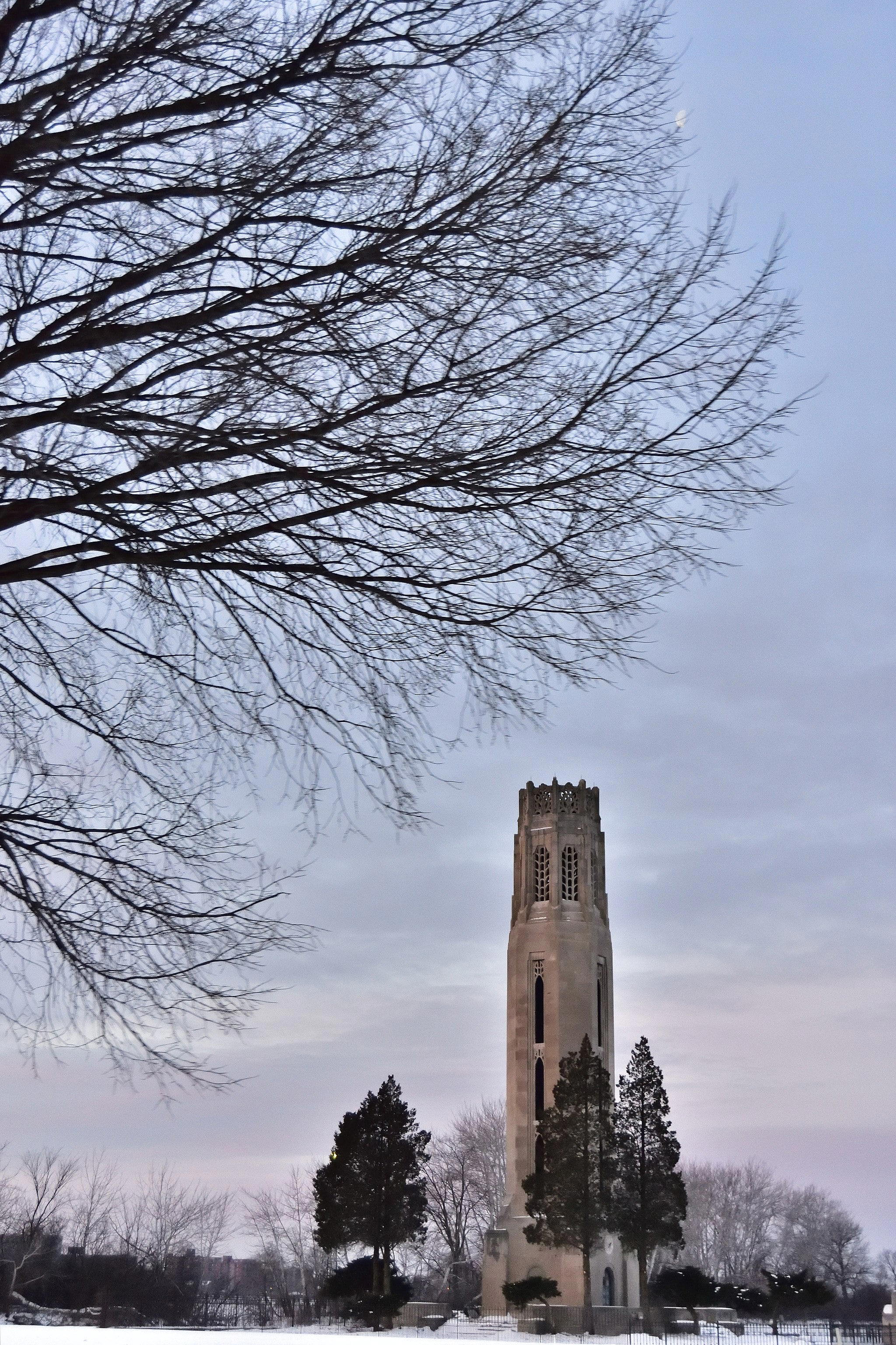 Nancy Brown Peace Carillon