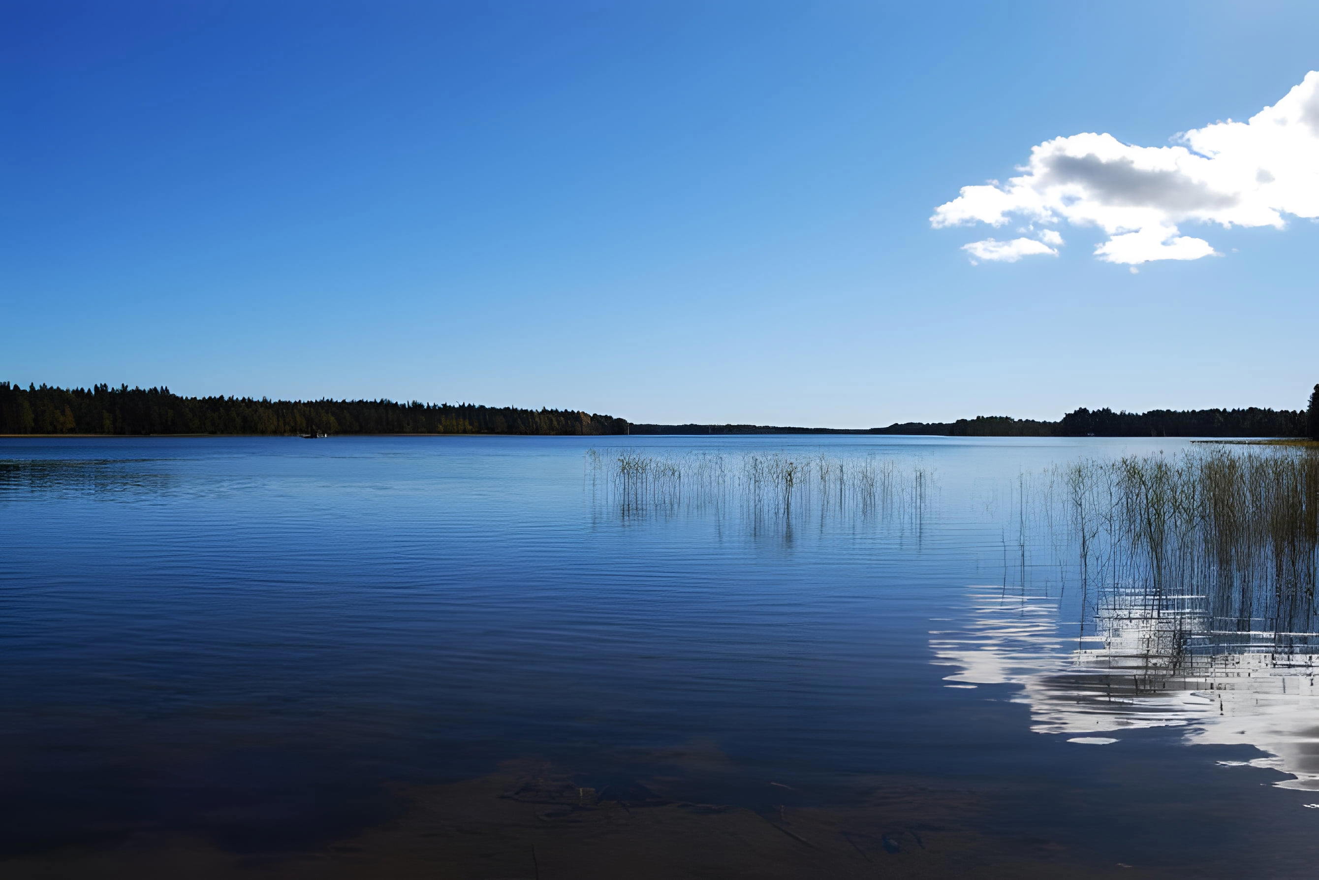 Nydalasjön