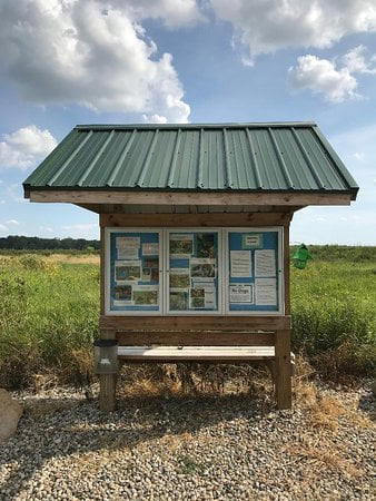 Prírodná rezervácia Eagle Marsh