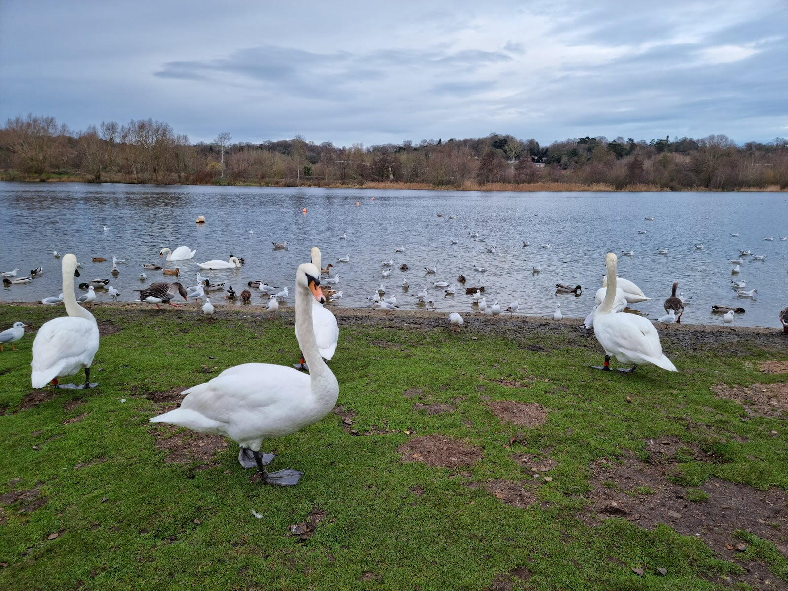 Whitlingham Country Park