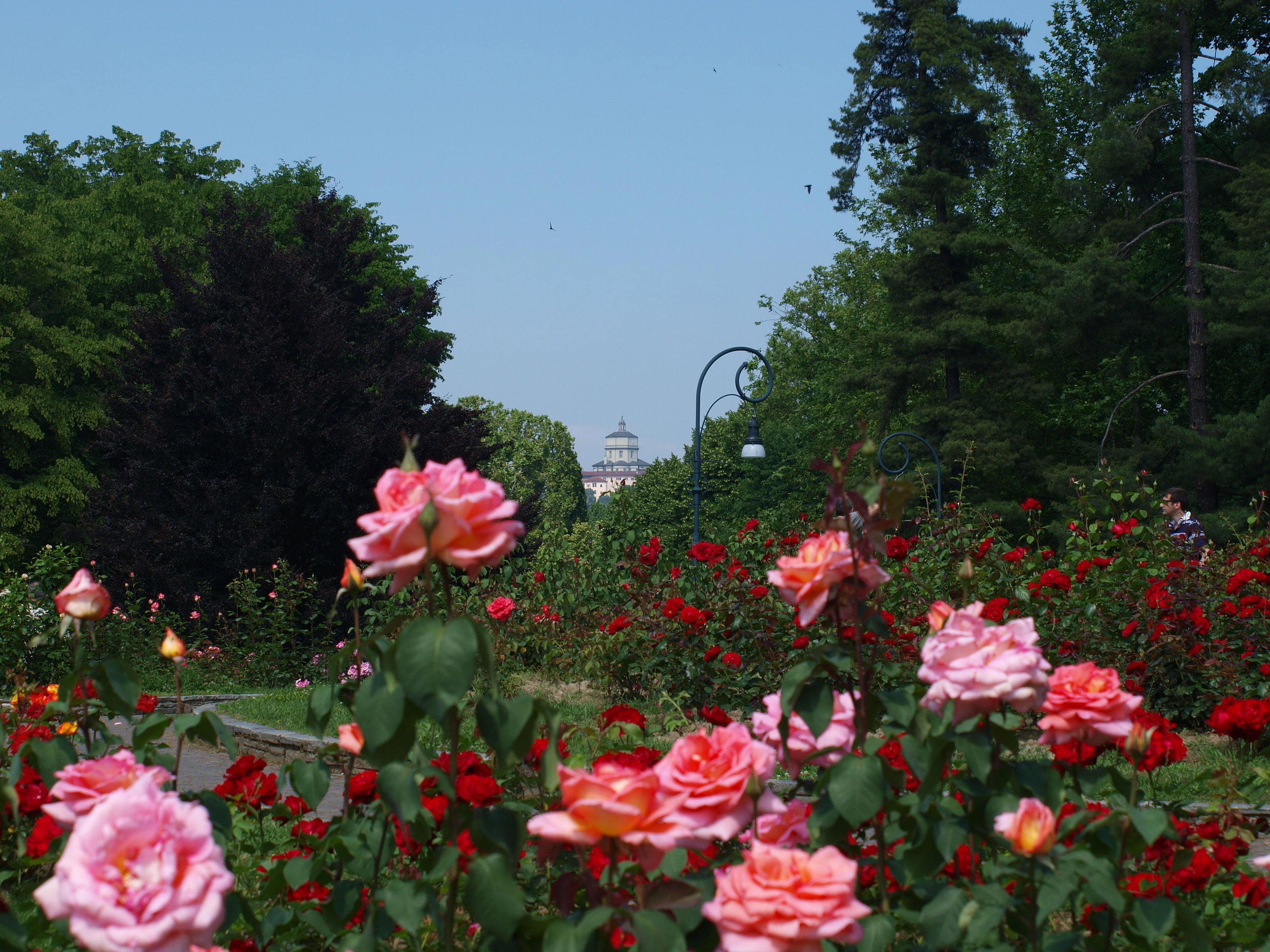 Park Valentino