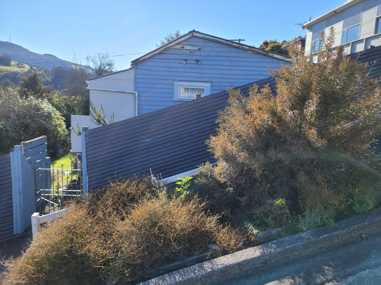 Baldwin Street - The Steepest Street in the World